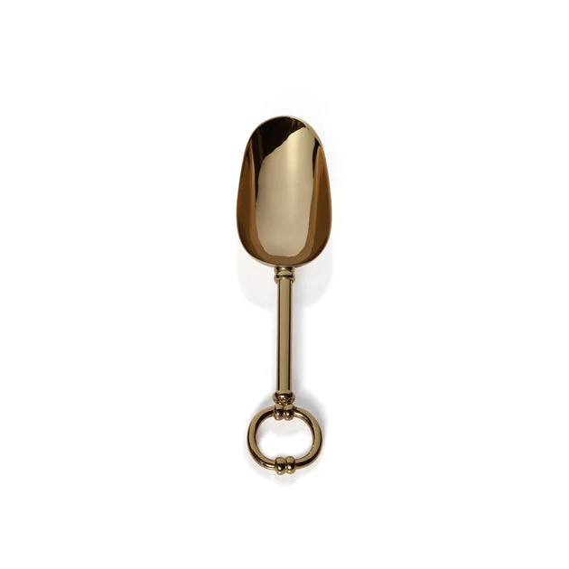 Azalea Stainless Steel Ice Scoop