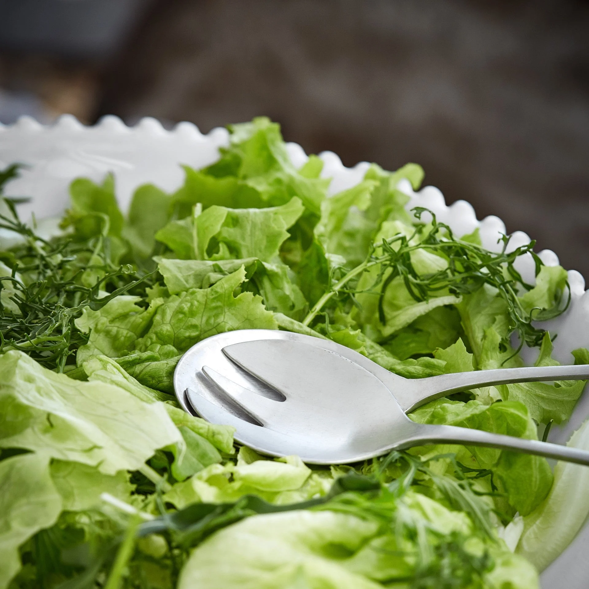 Antigo Salad Serving Set