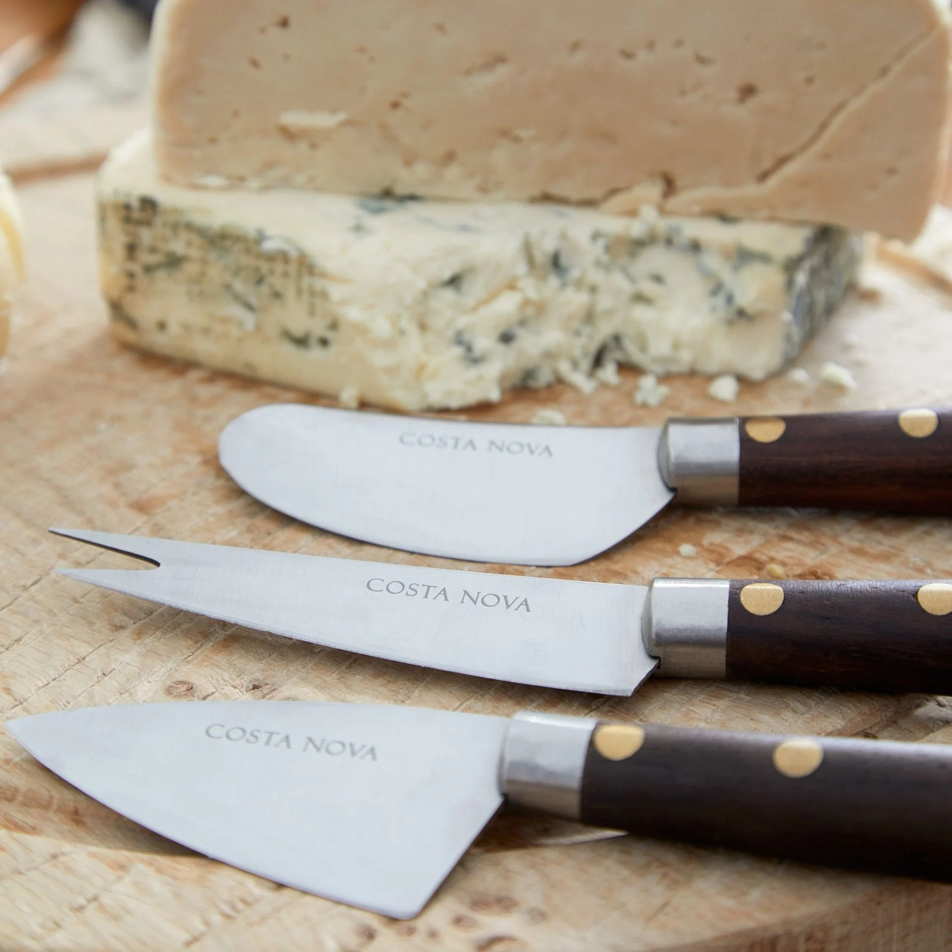 Set of 3 Cheese Knives by Costa Nova