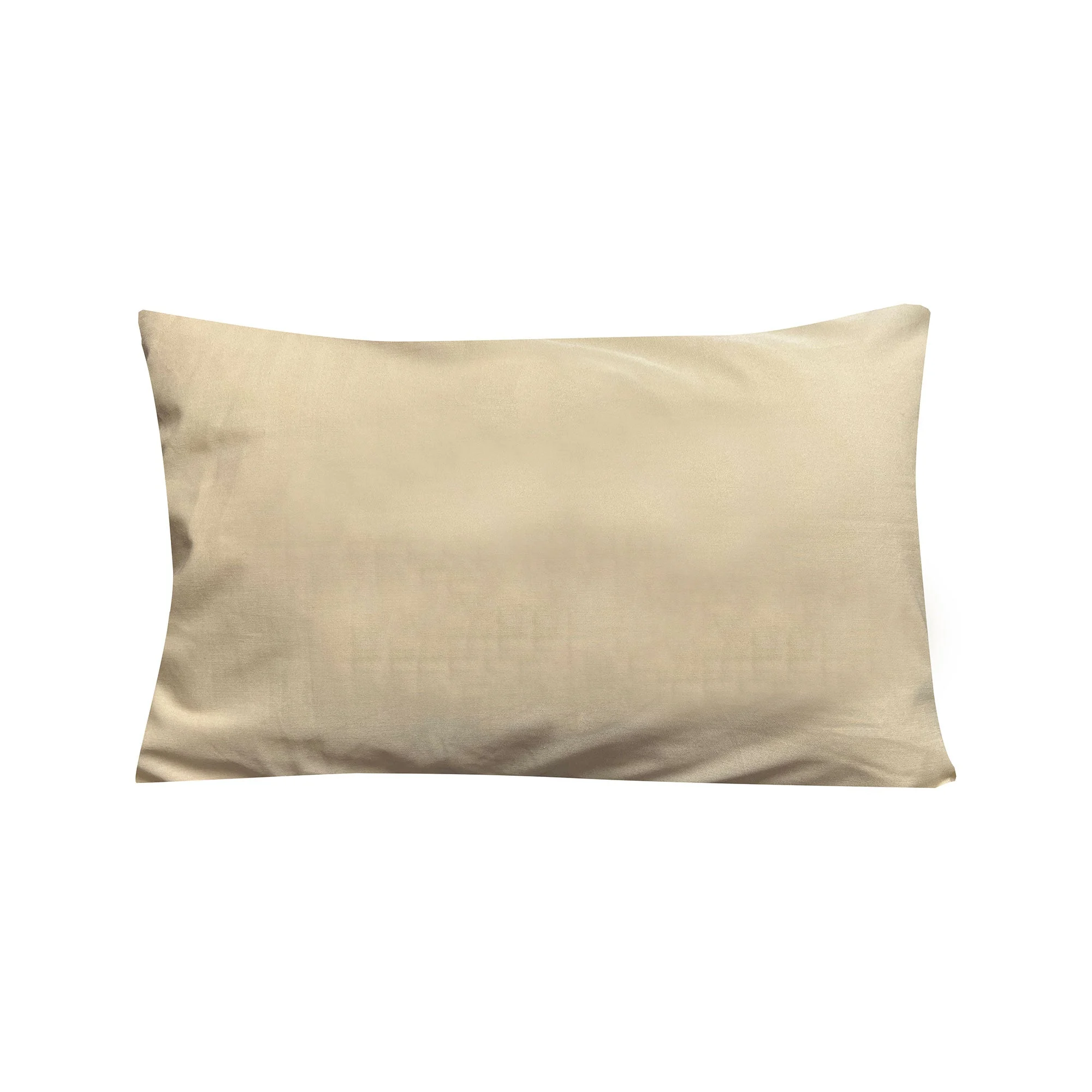 Disc-O-Bed Lightweight Travel Pillow, Packable with Washable Cover, Cappuccino