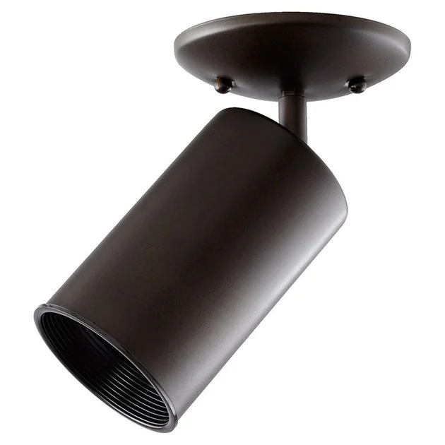 9" Single-Light Flush Mount Ceiling Fixture