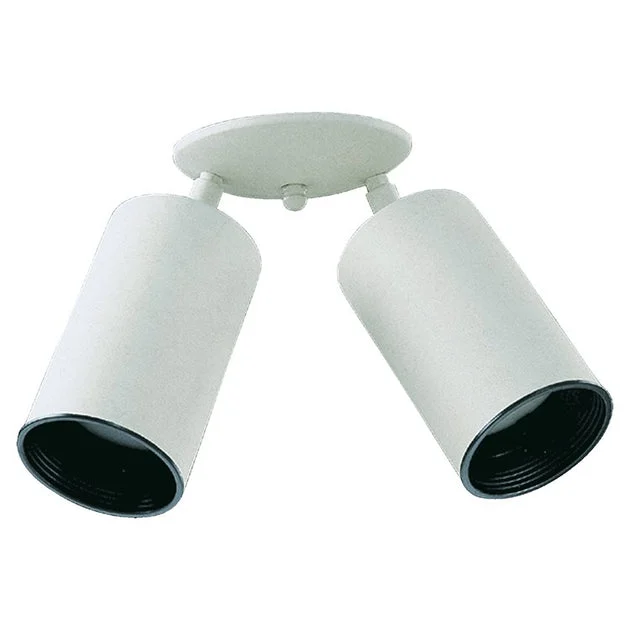 6" Two-Light Flush Mount Ceiling Fixture