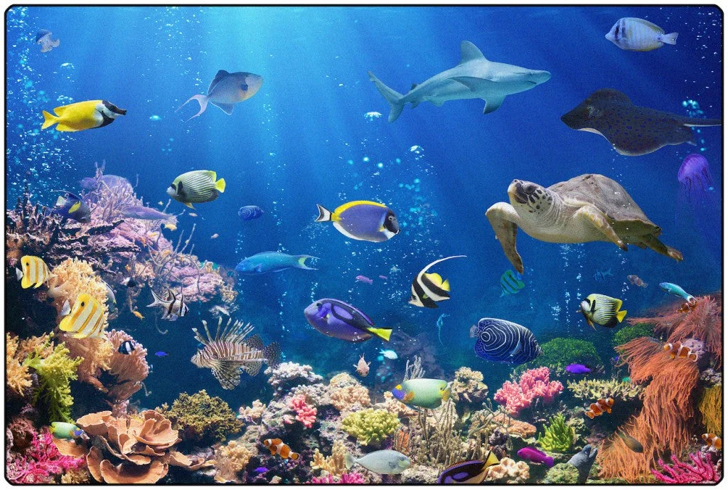 Carpets for Kids Explore the Ocean Educational Rug, Rectangle