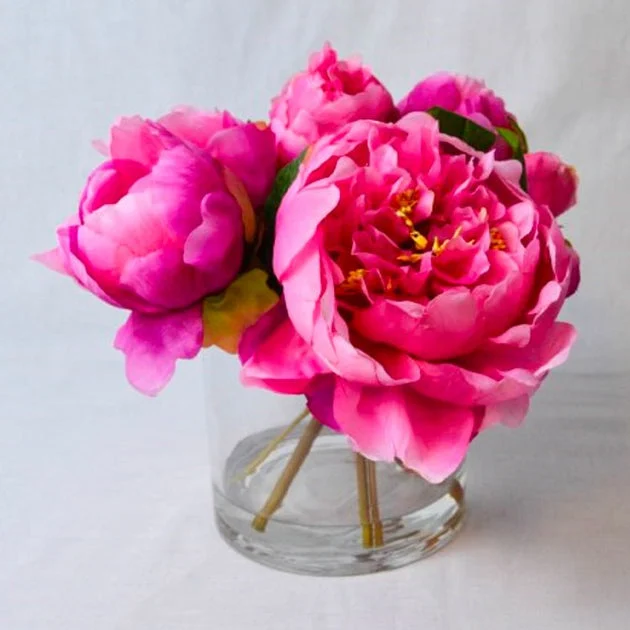 Fresh Cut Peony Blooms in Glass Jar