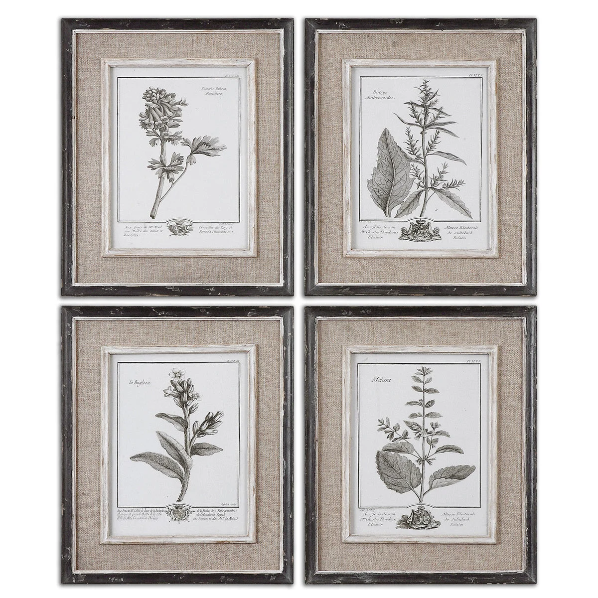 Uttermost Casual Grey Study Framed Botanical Prints, Set of 4 – Distressed Black & Taupe Frames with Burlap Matting