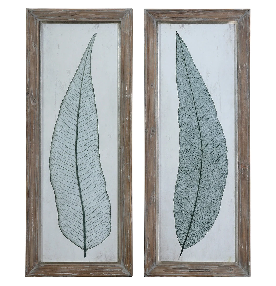 Uttermost 41514 Tall Leaves Framed Art Set/2