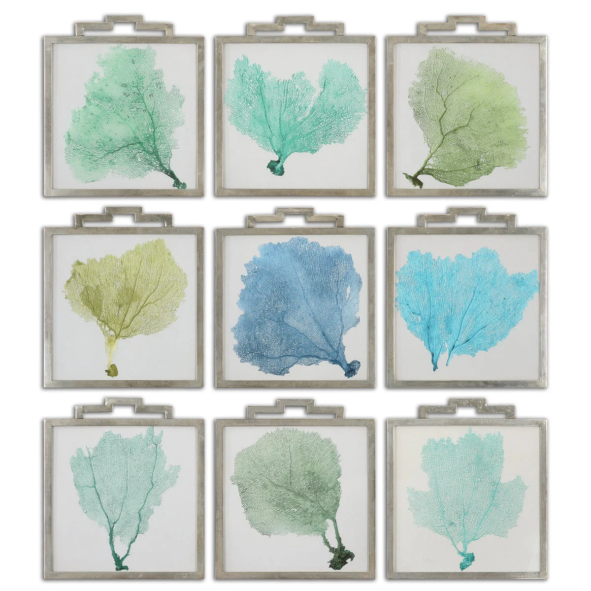 Uttermost 35239 Sea Fans Framed Art S/9