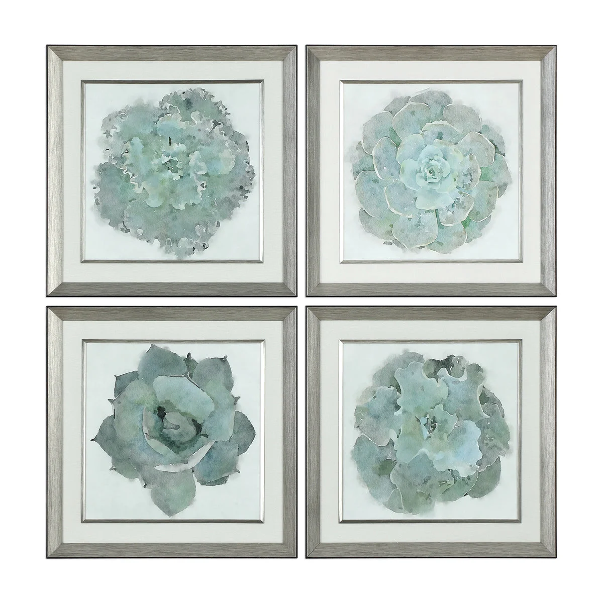 Uttermost Natural Beauties Succulent Framed Prints, Set of 4 – Silver Leaf Frames with Neutral Mats & Glass Covering