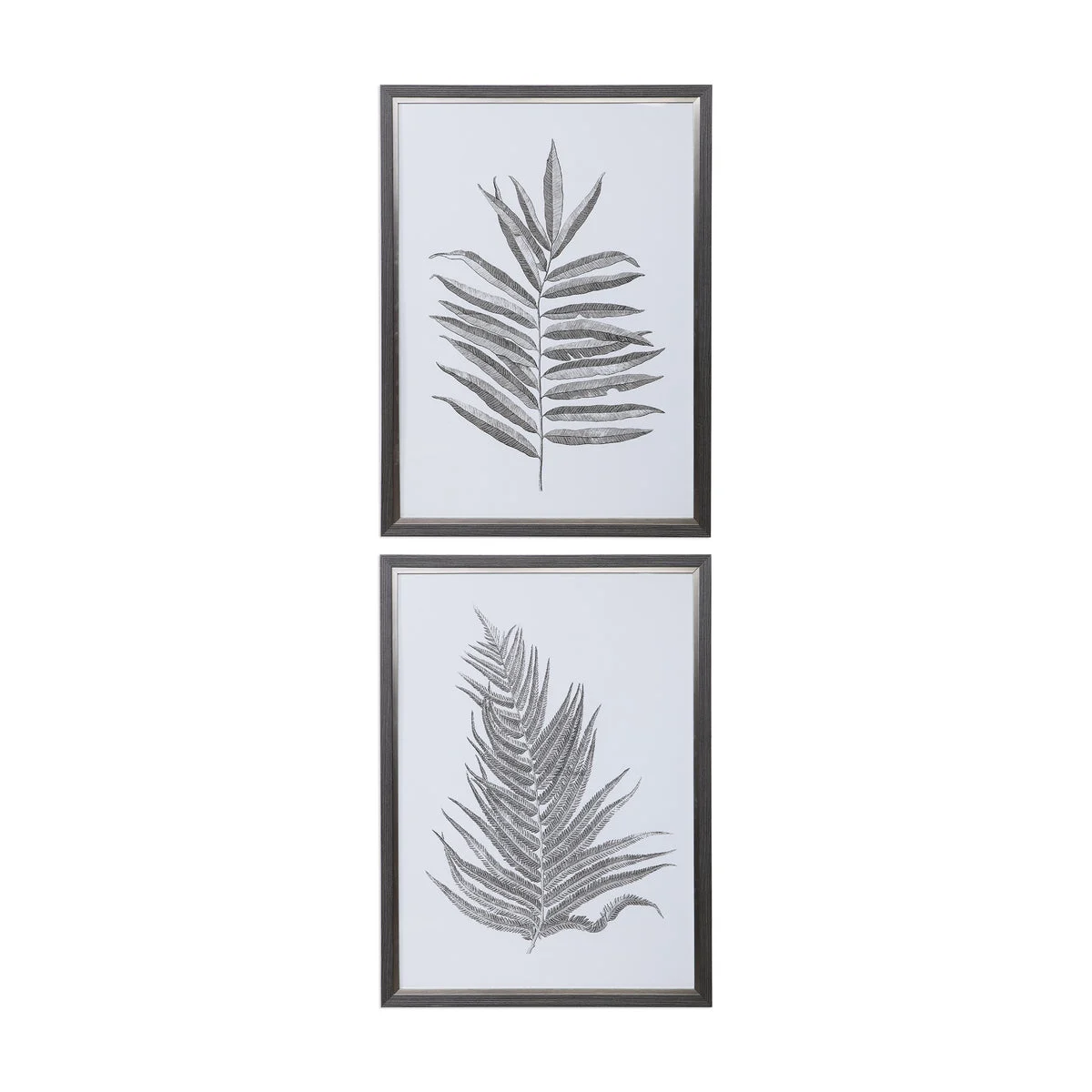 Uttermost 33685 Silver Ferns Framed Prints Set/2