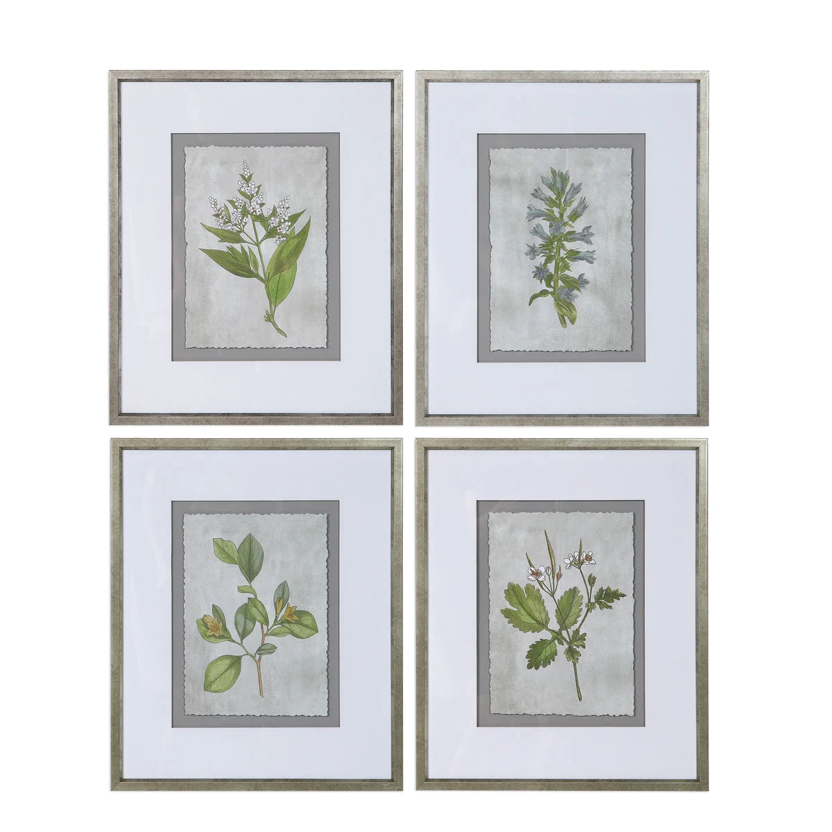 Uttermost 33690 Stem Study Framed Prints Set/4