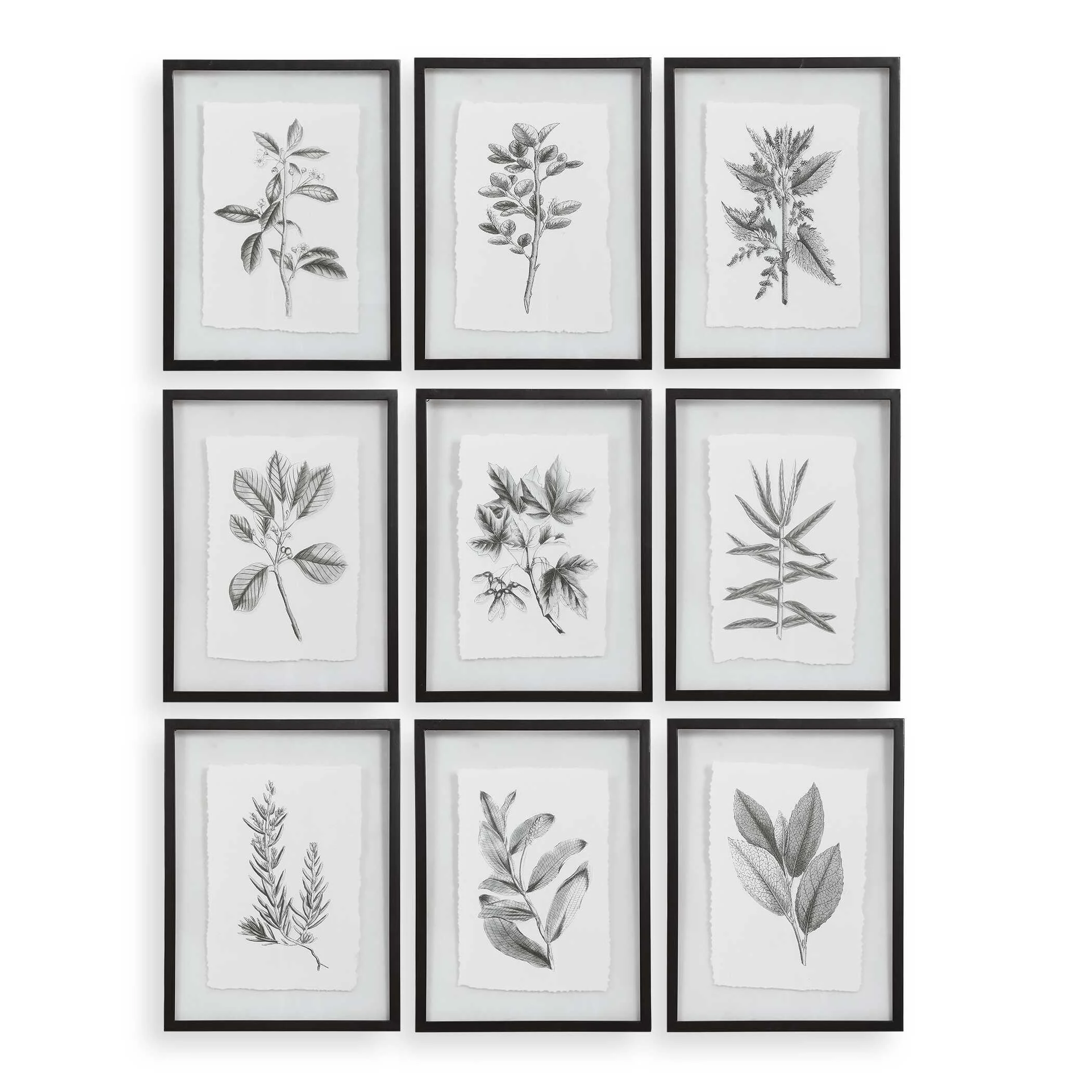 Farmhouse Florals Framed Prints // Set of 9