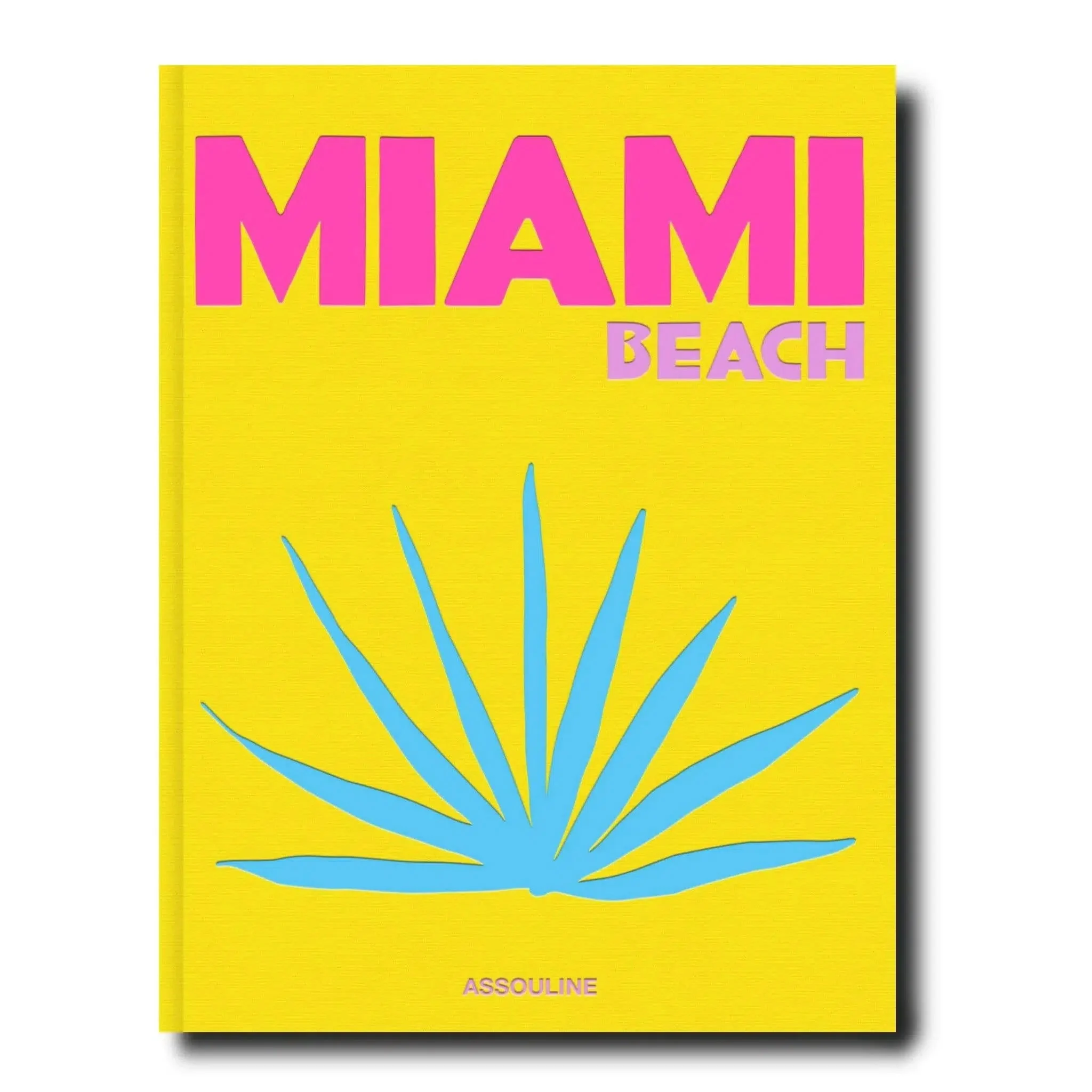 Miami Beach Coffee Table Book