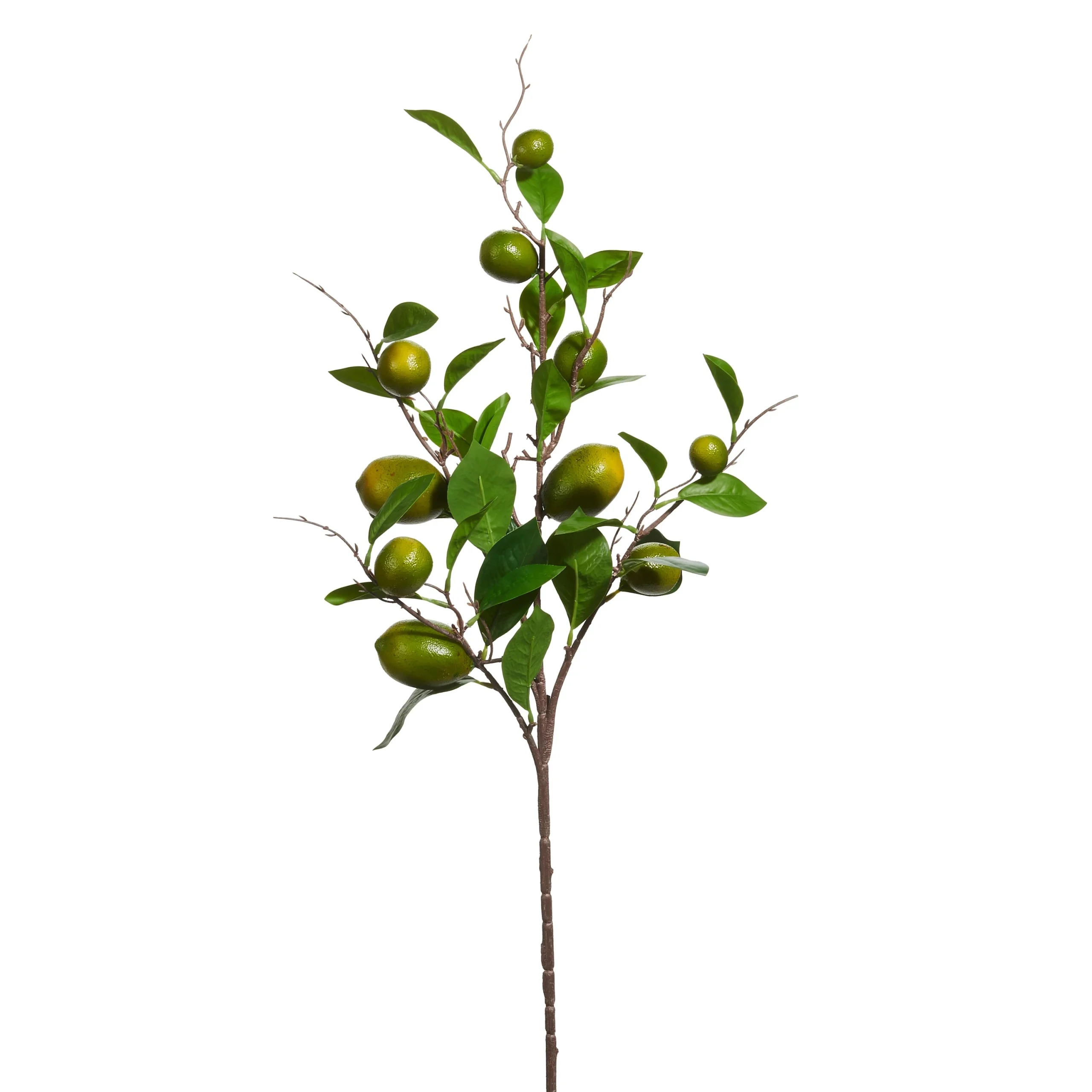 36” Faux Lime Spray