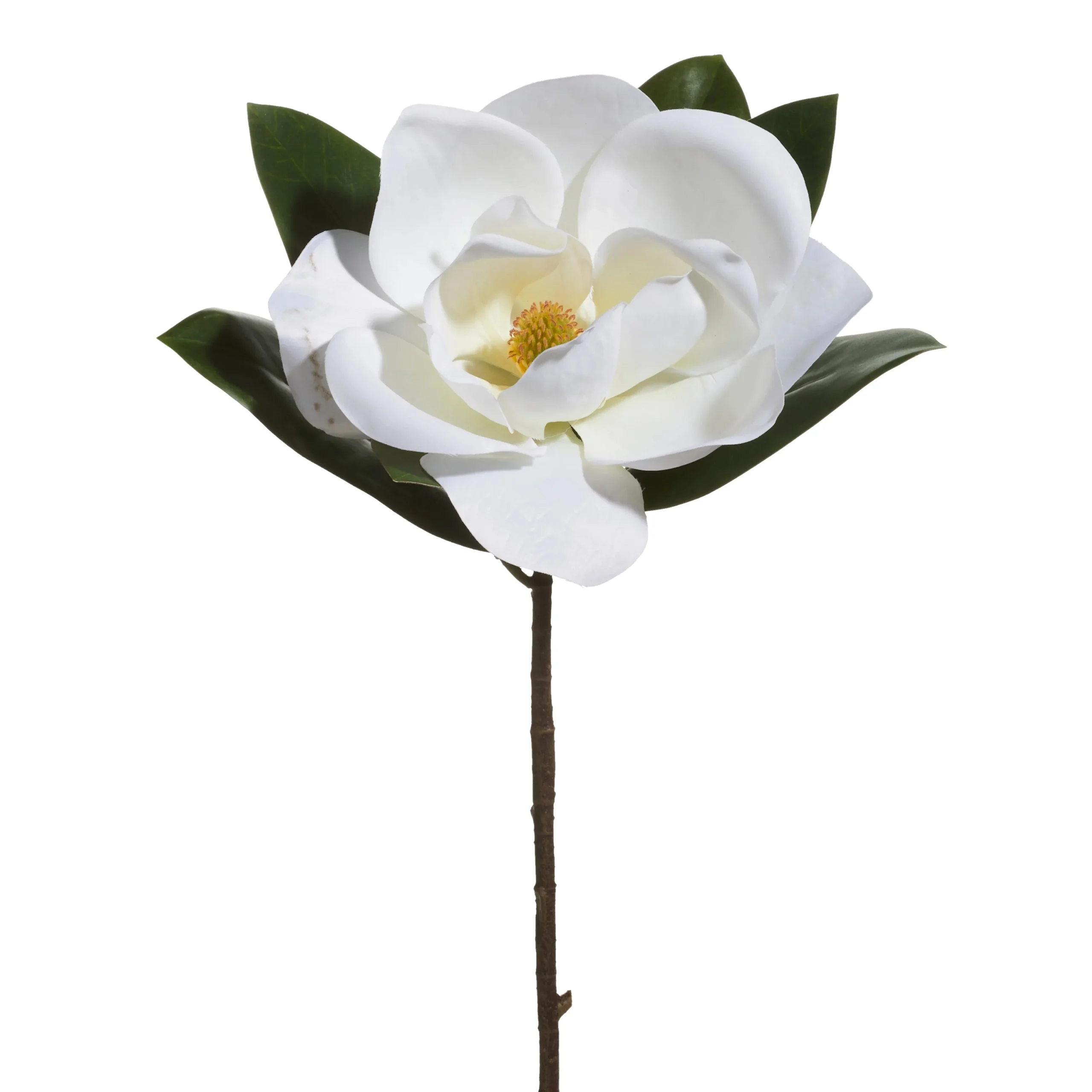 18” White Magnolia Blossom Stem