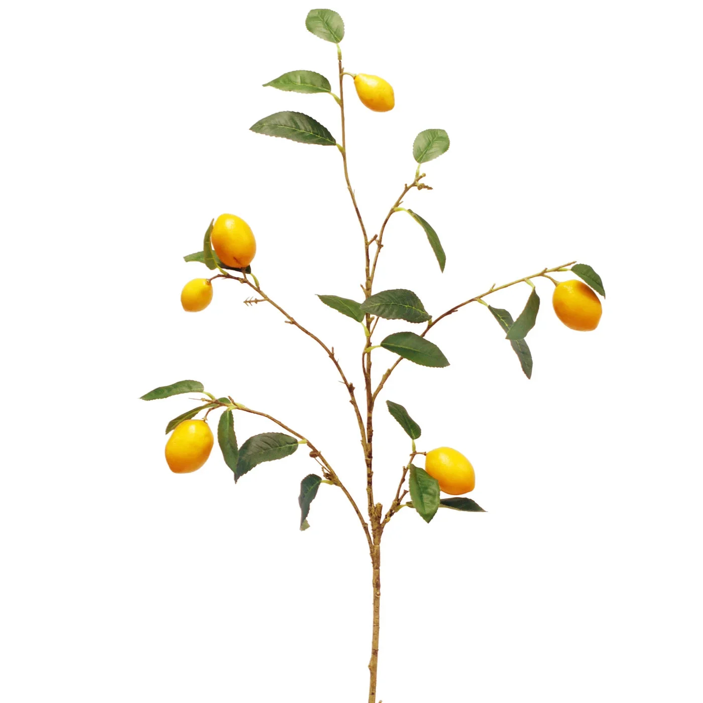 Lemon Branch // 37"