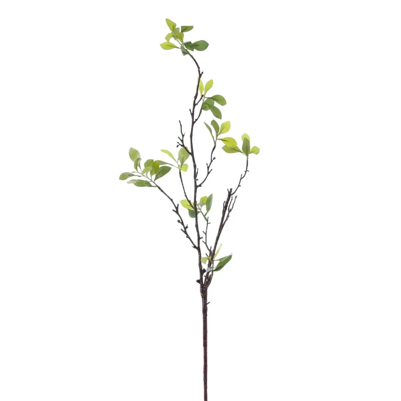Spring Leafy Branch // 37"