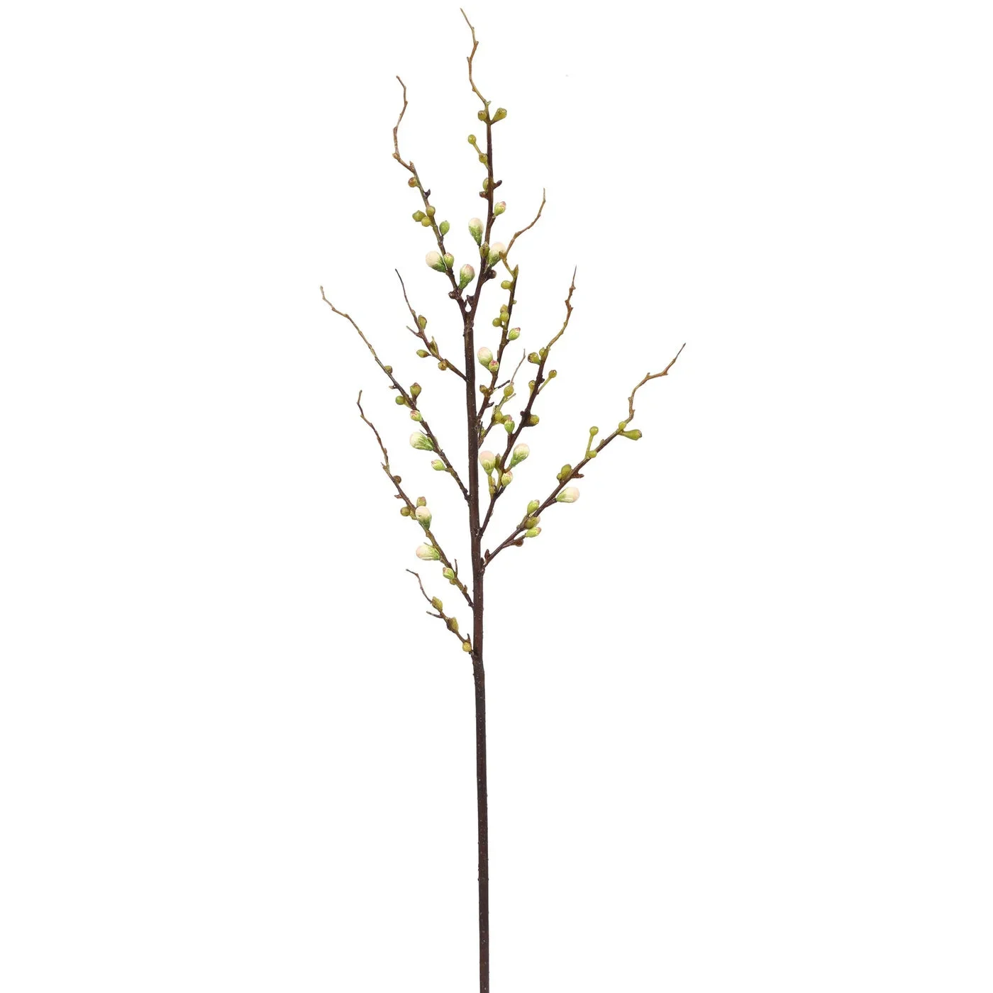 White Peach Blossom Bud Branch // 30"
