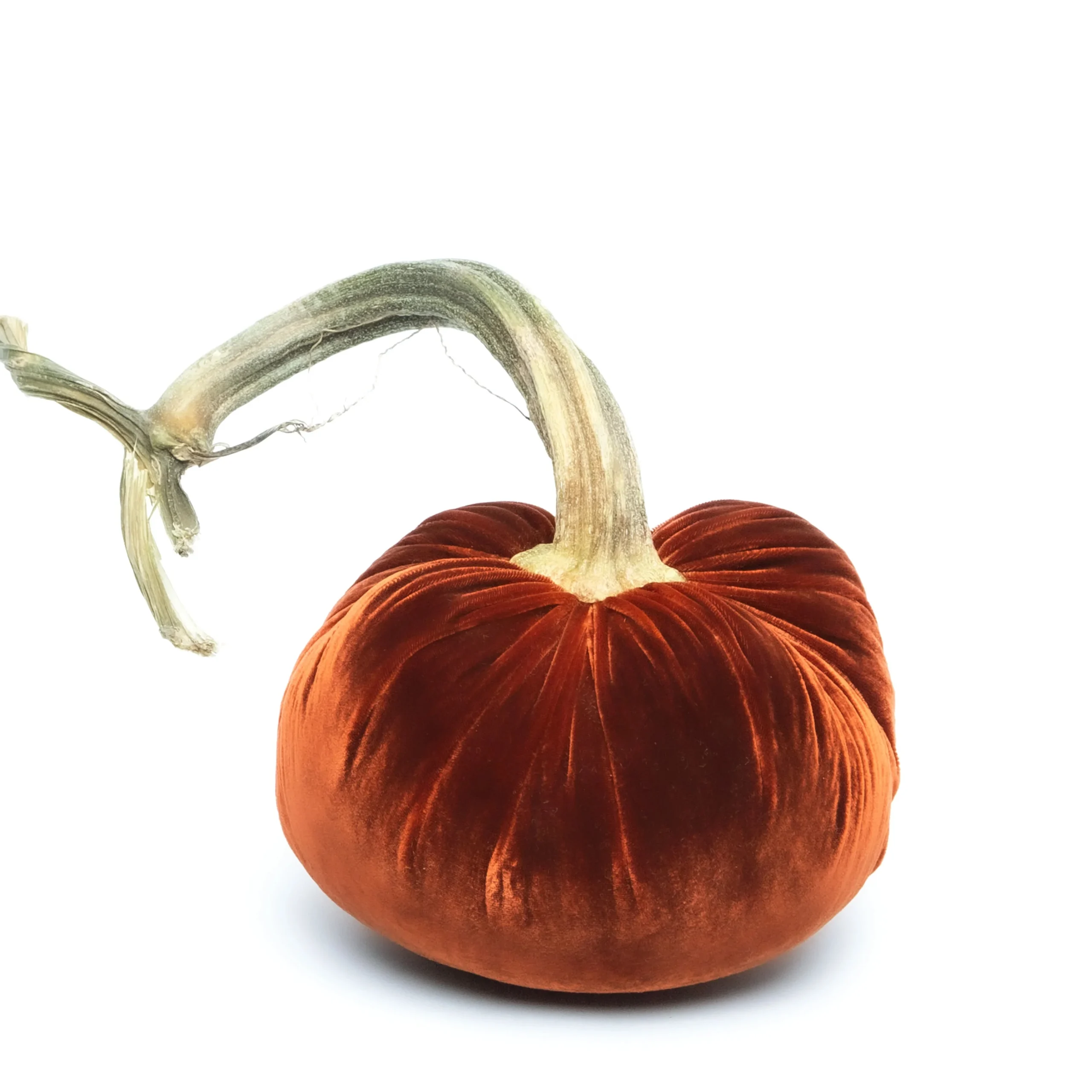 Hot Skwash Silk Velvet Pumpkin