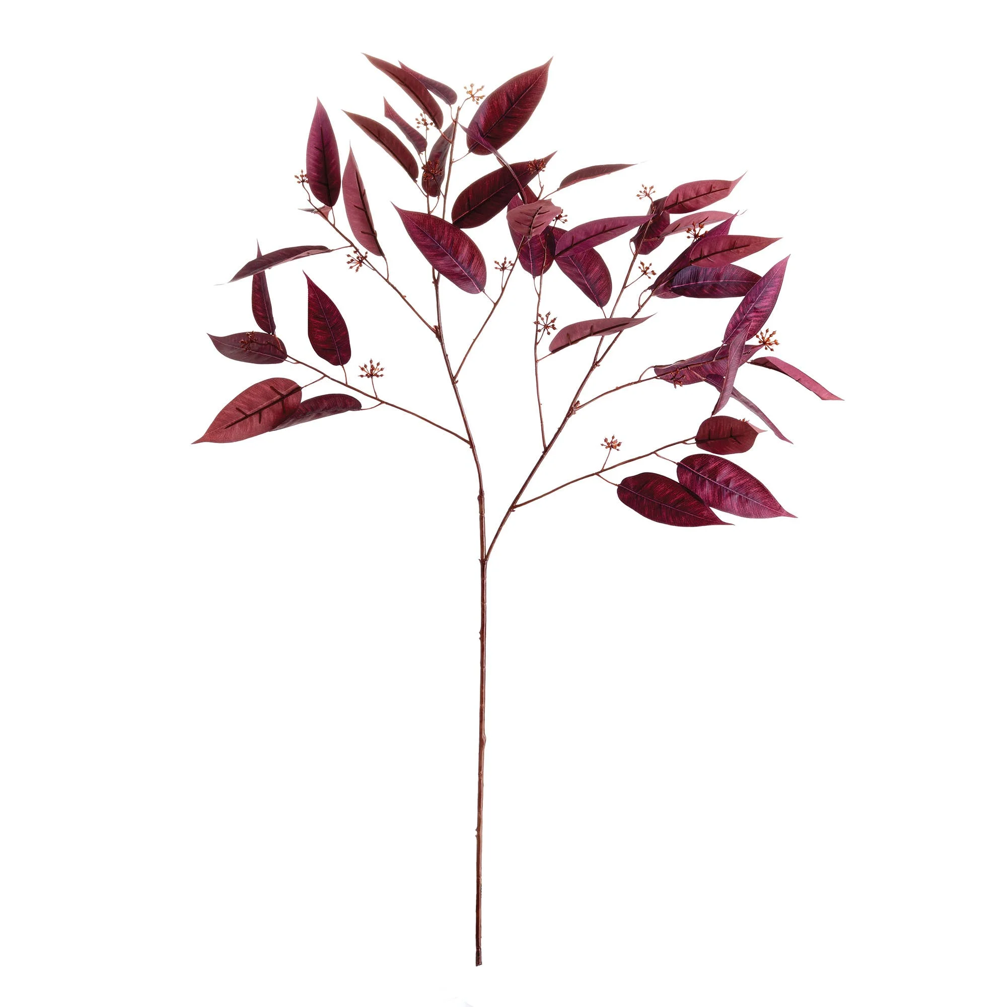 Eucalyptus Seed Branch 36.5"