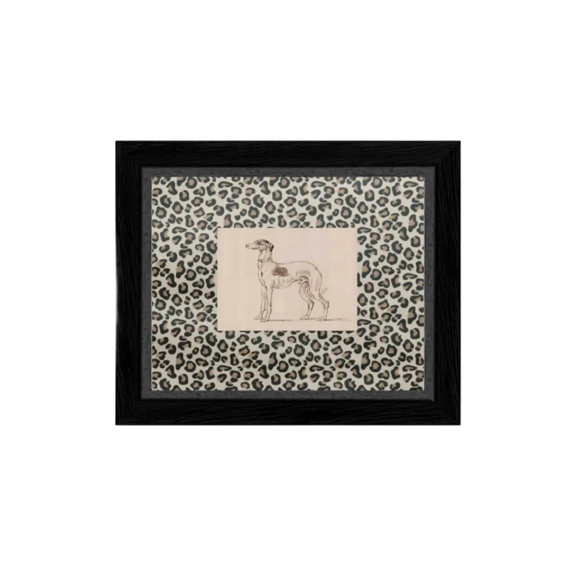 Greyhound Framed Print // 9x7