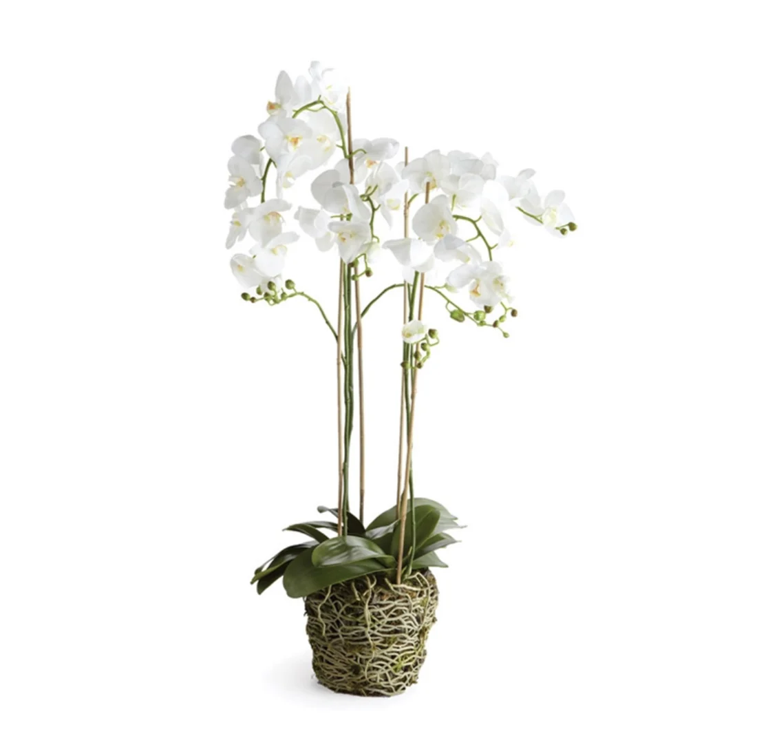 Orchid Drop-In 44"