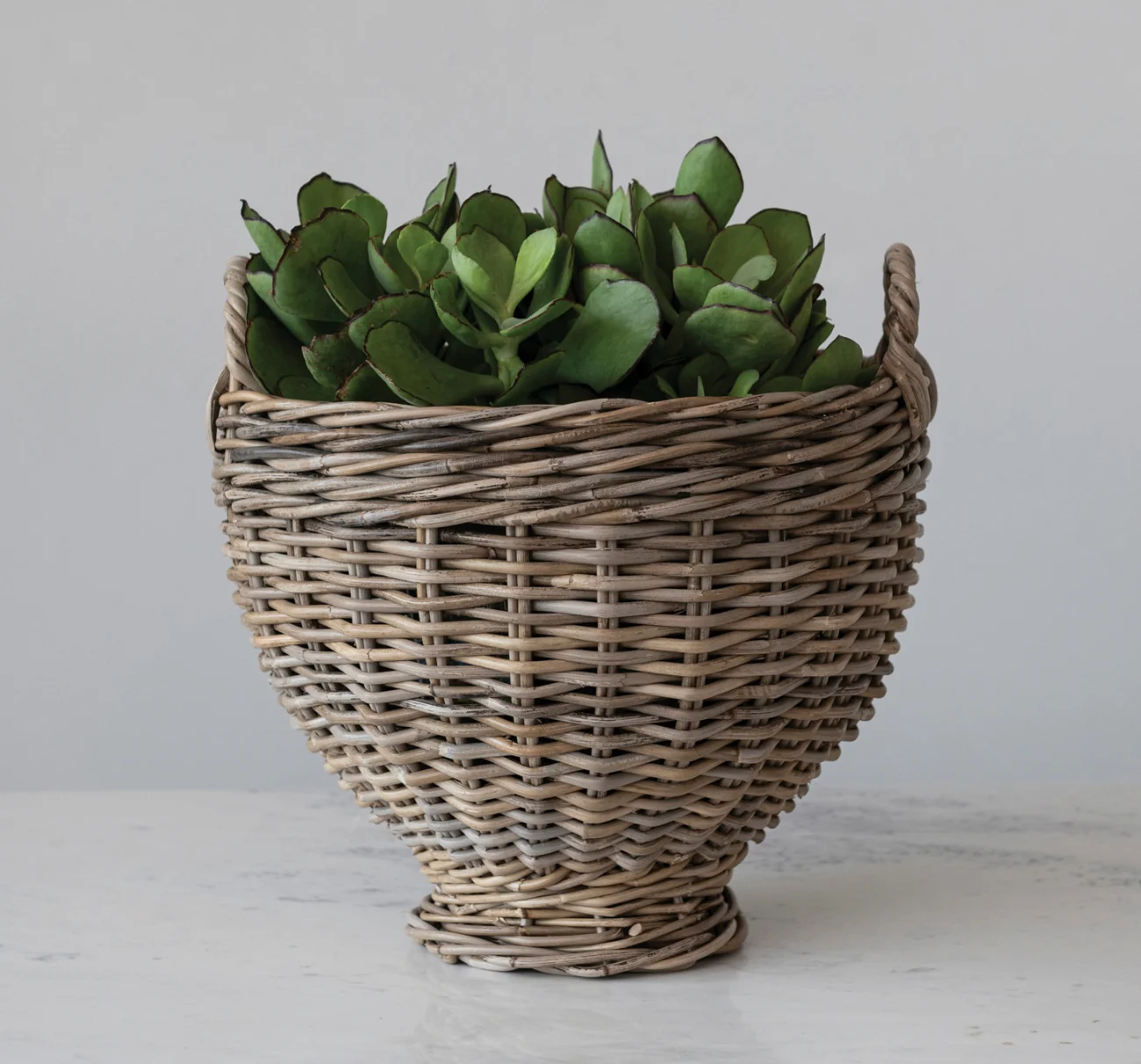 Hand-Woven Rattan Footed Basket with Handles
