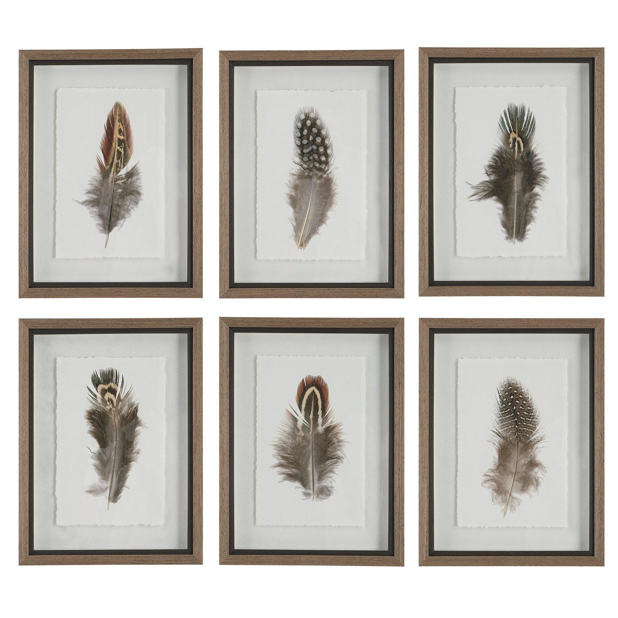 Birds Of A Feather Framed Prints // Set of 6