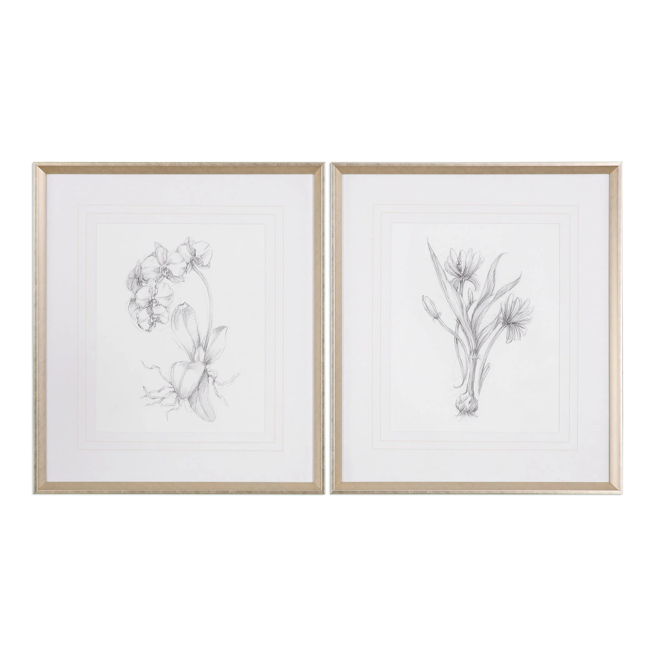 Botanical Sketches Framed Prints // Set of 2