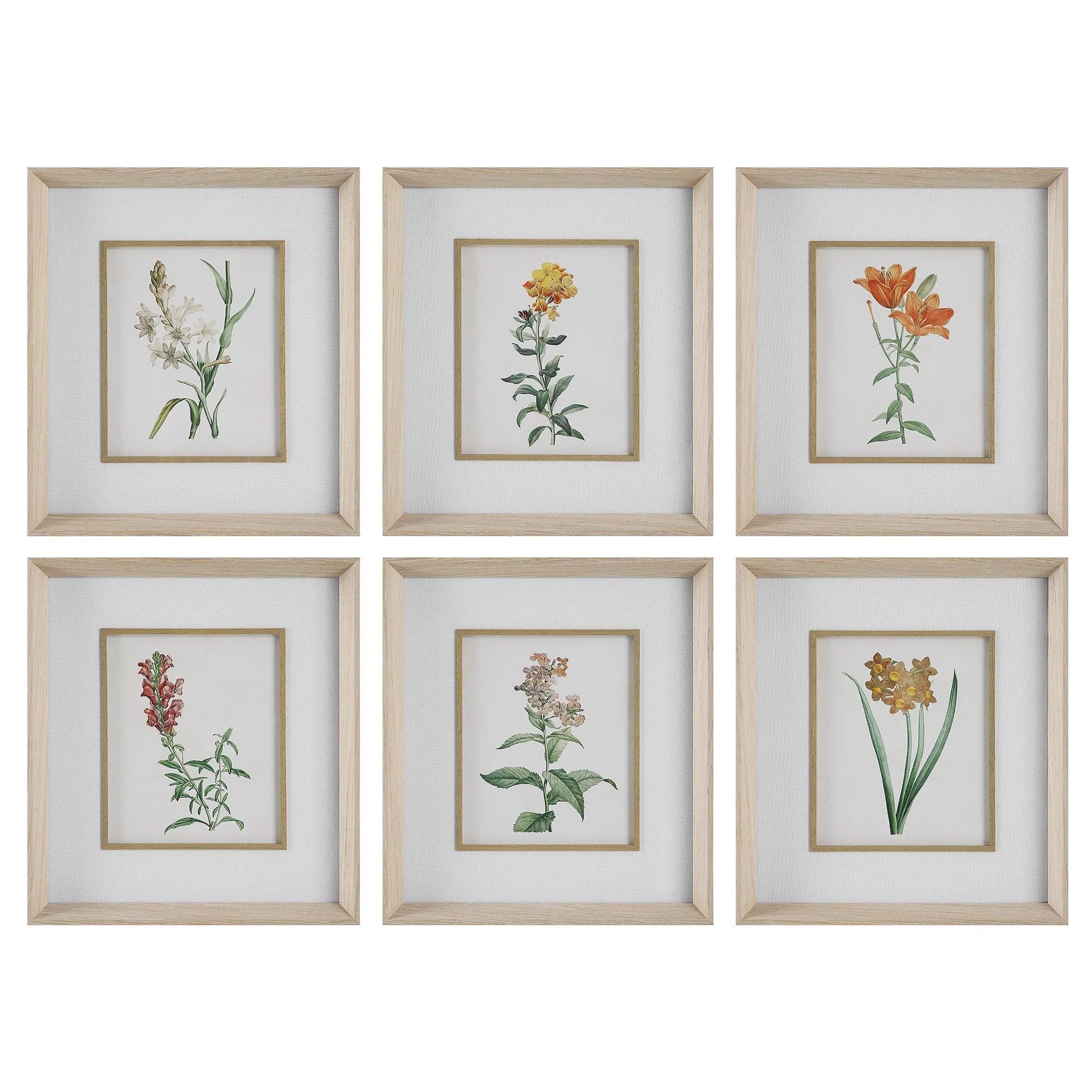 Classic Botanicals Framed Prints // Set of 6