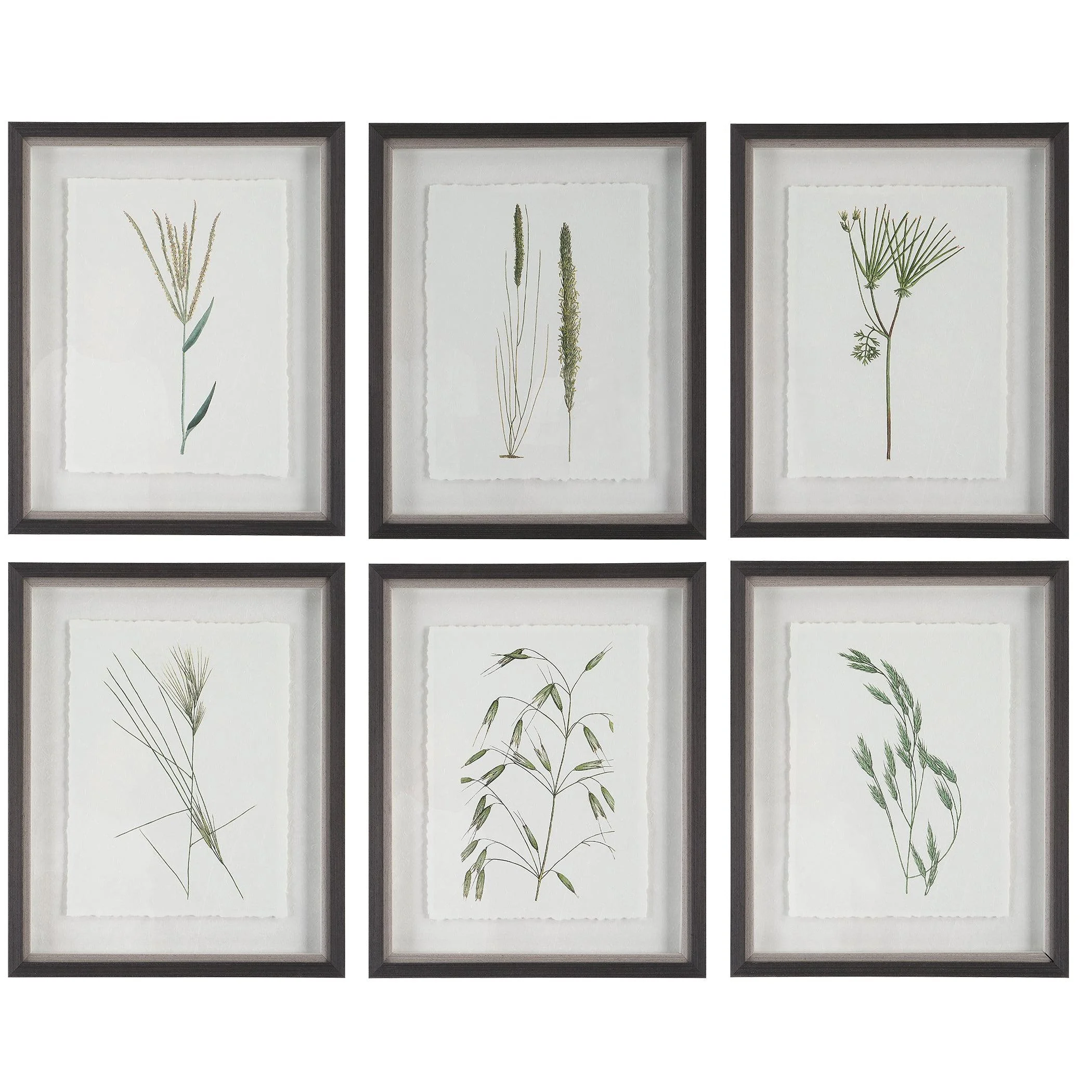 Forest Finds Framed Prints // Set of 6