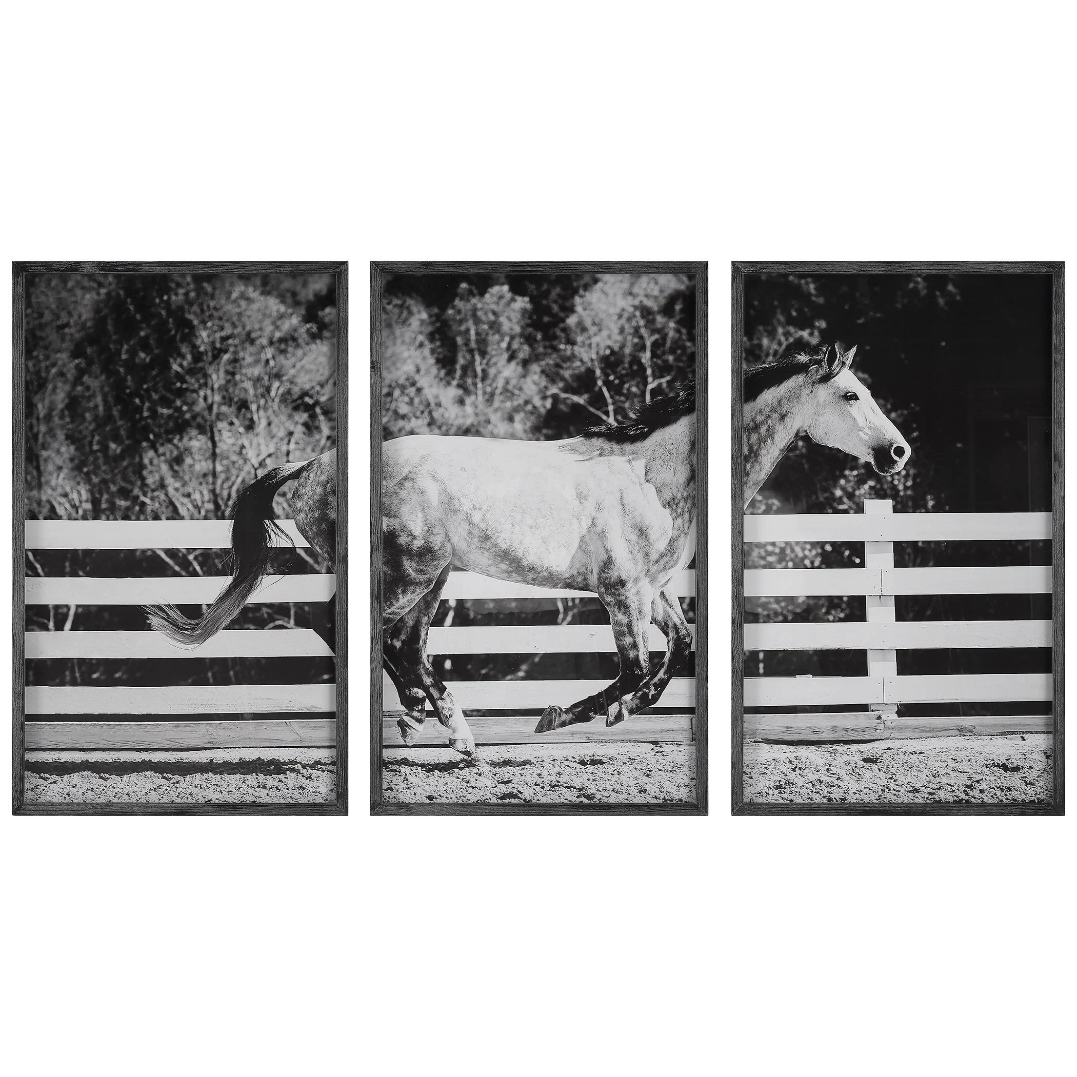 Galloping Forward Equine Prints // Set of 3