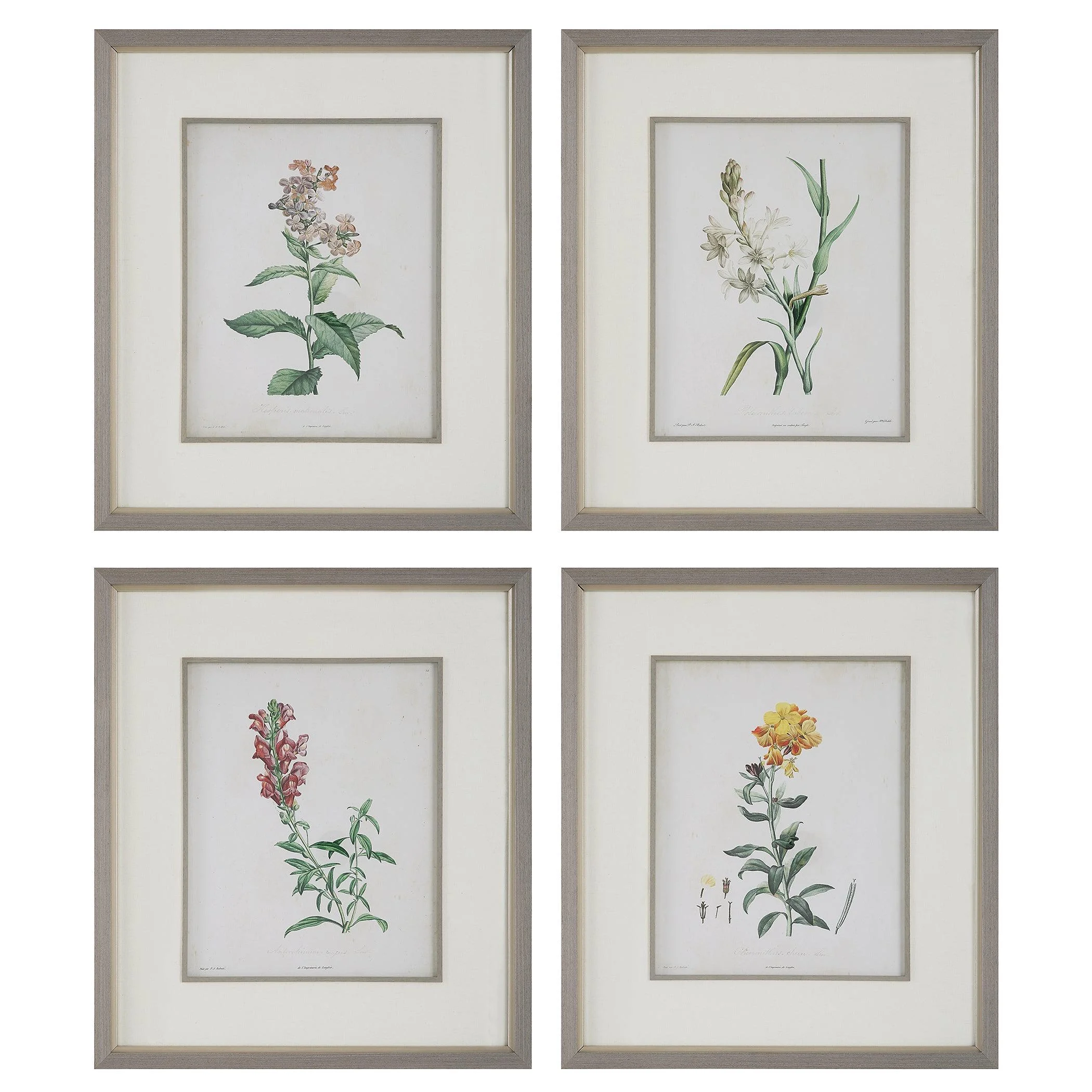 Heirloom Blooms Study Framed Prints // Set of 4