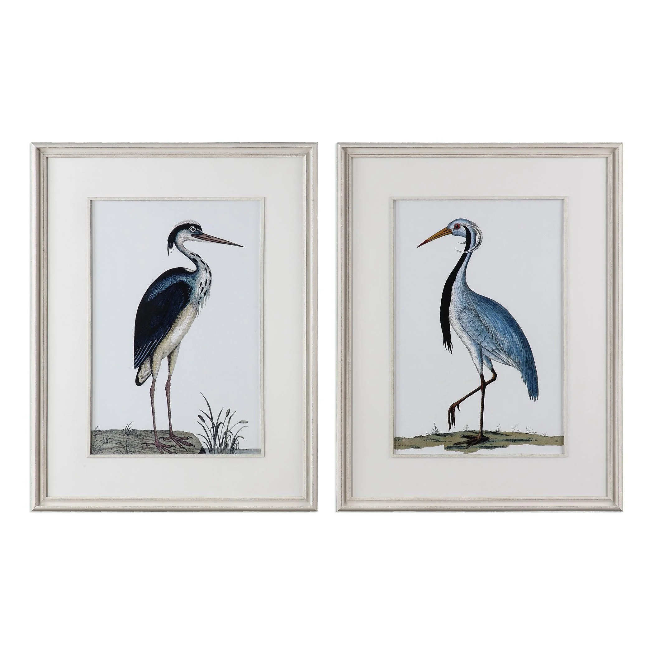 Shore Birds Framed Prints // Set of 2