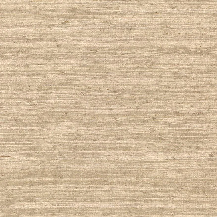 Arrowroot Wallpaper // Cream