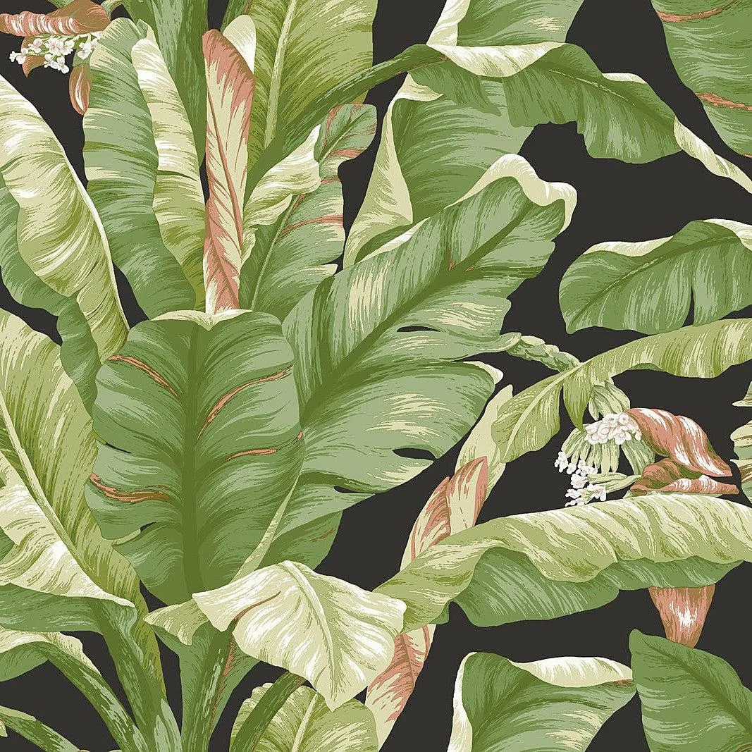 Banana Leaf Peel & Stick Wallpaper // Black & Green