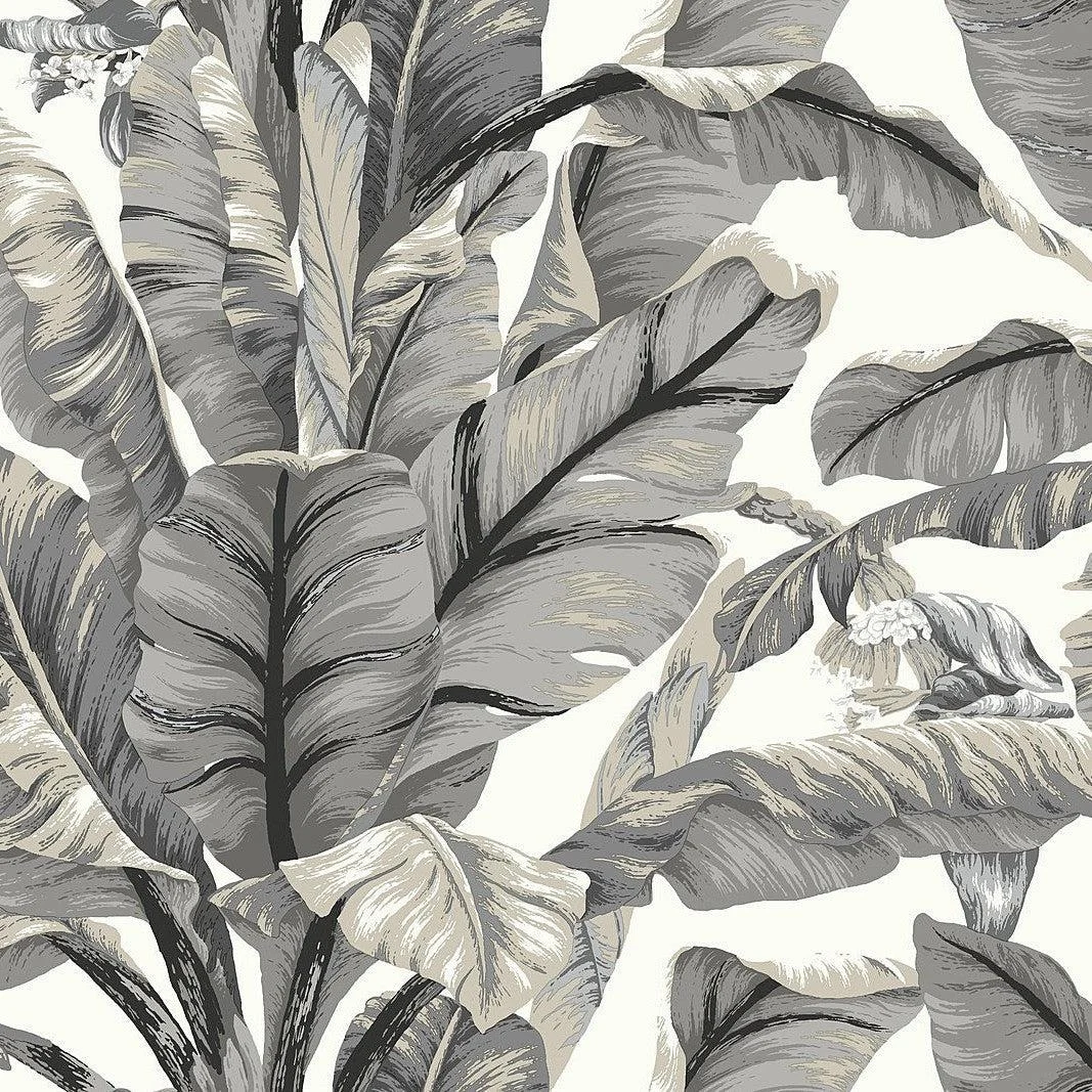 Banana Leaf Peel & Stick Wallpaper // White & Black