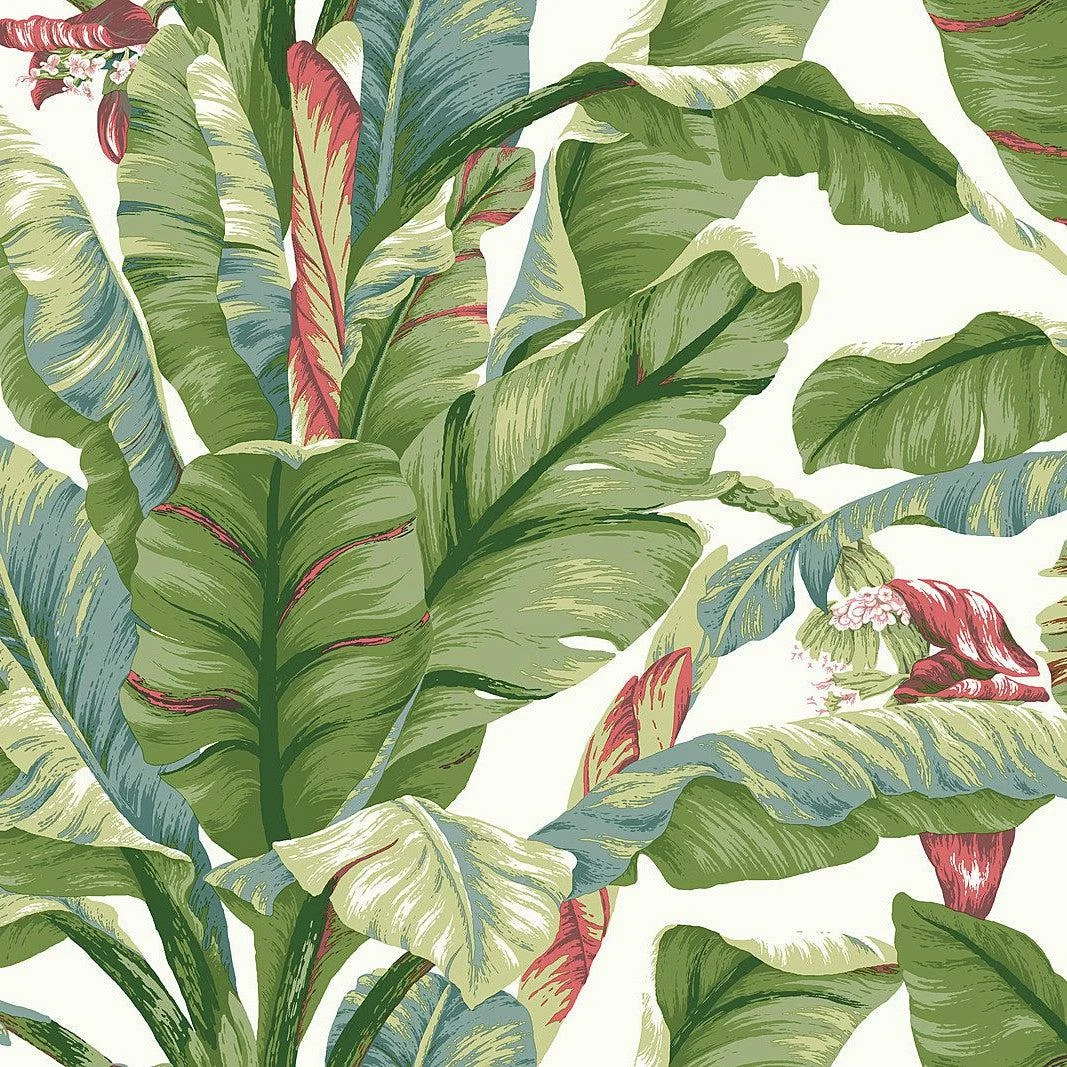 Banana Leaf Peel & Stick Wallpaper // White & Green
