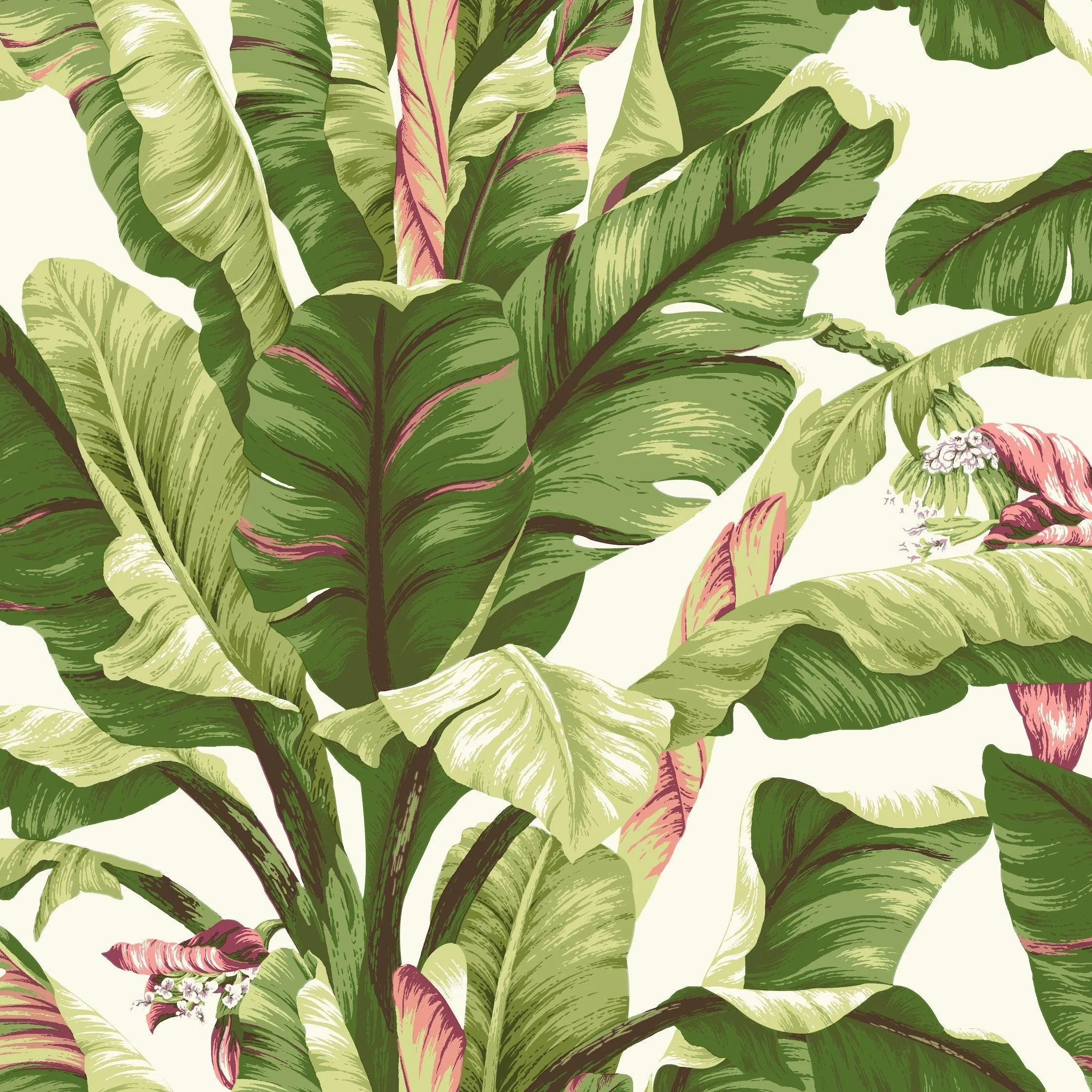 Banana Leaf Wallpaper // Magenta