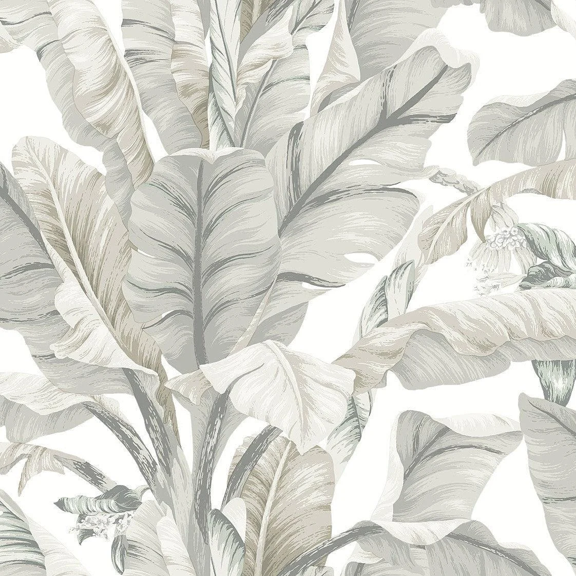 Banana Leaf Wallpaper // White & Cream