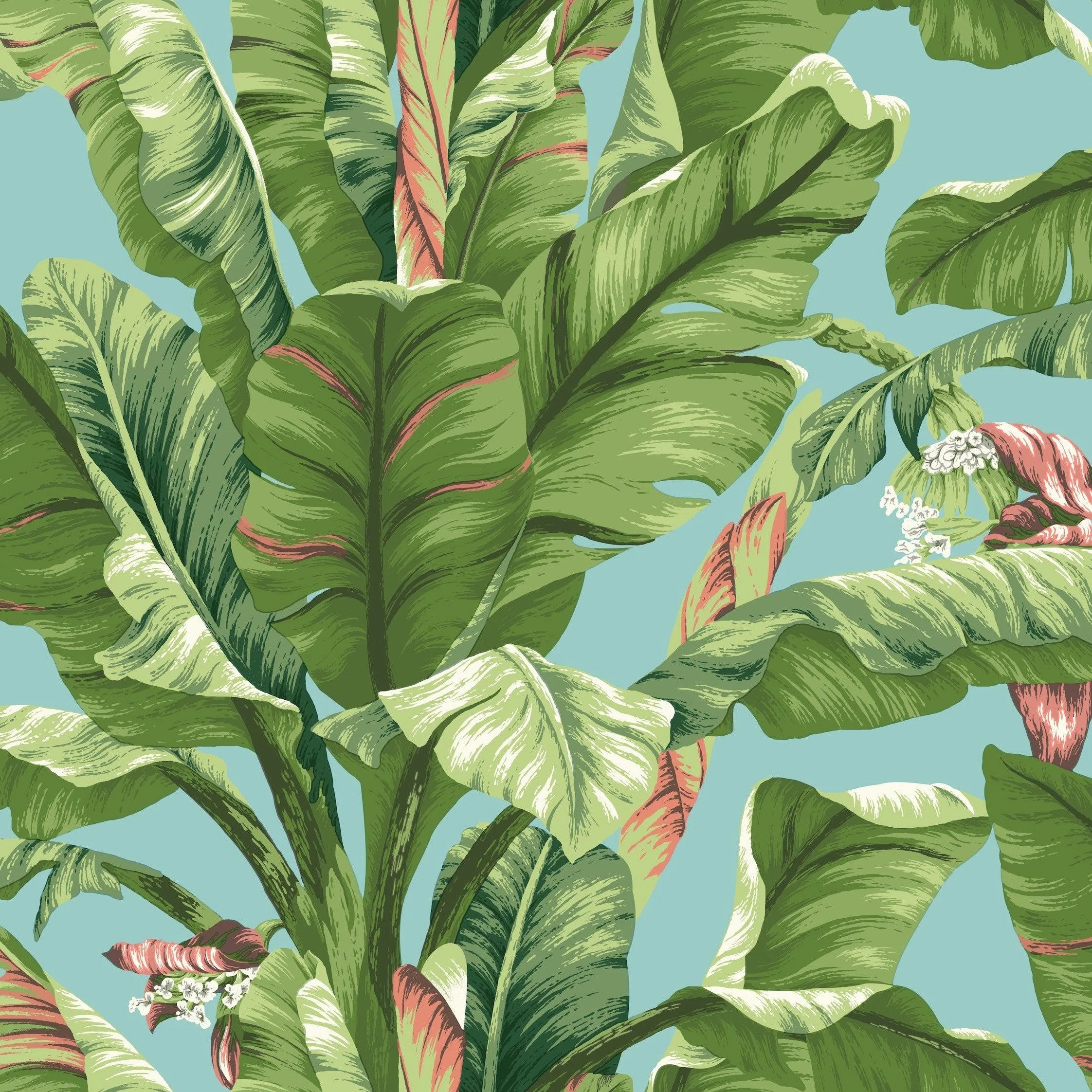 Banana Leaf Wallpaper // White