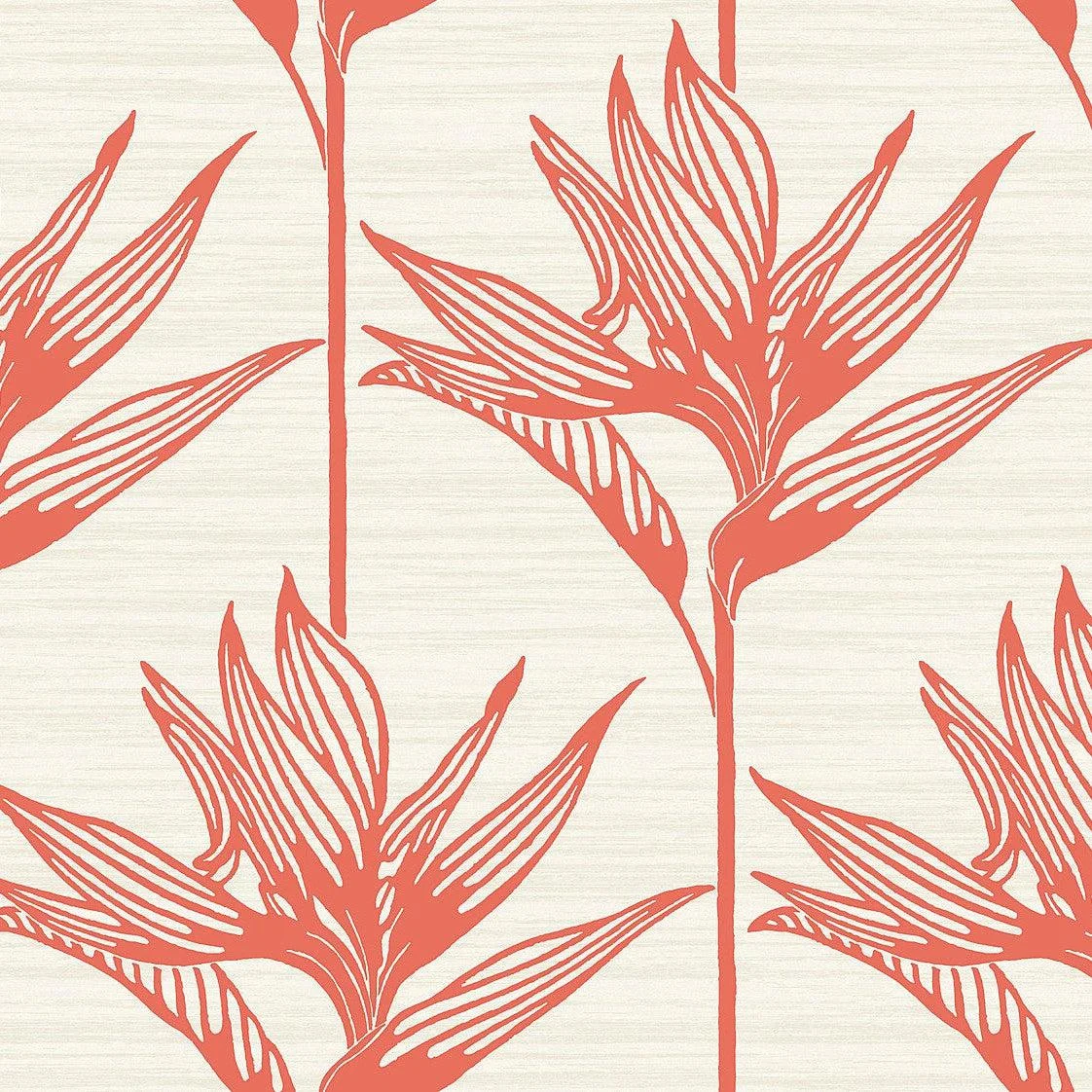 Bird of Paradise Wallpaper // Coral