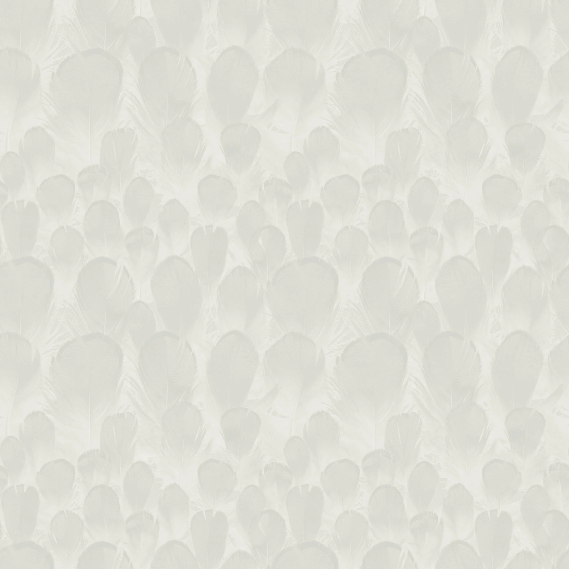 Feathers Wallpaper // White