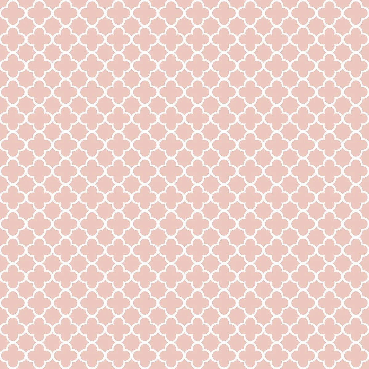 Framework Wallpaper // Pink