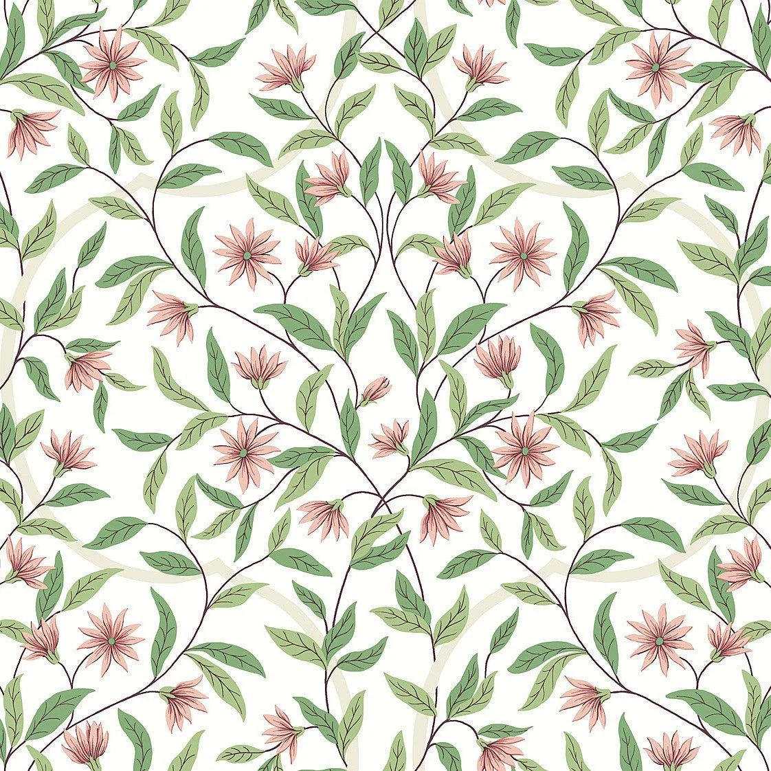 Jasmine Wallpaper // Coral