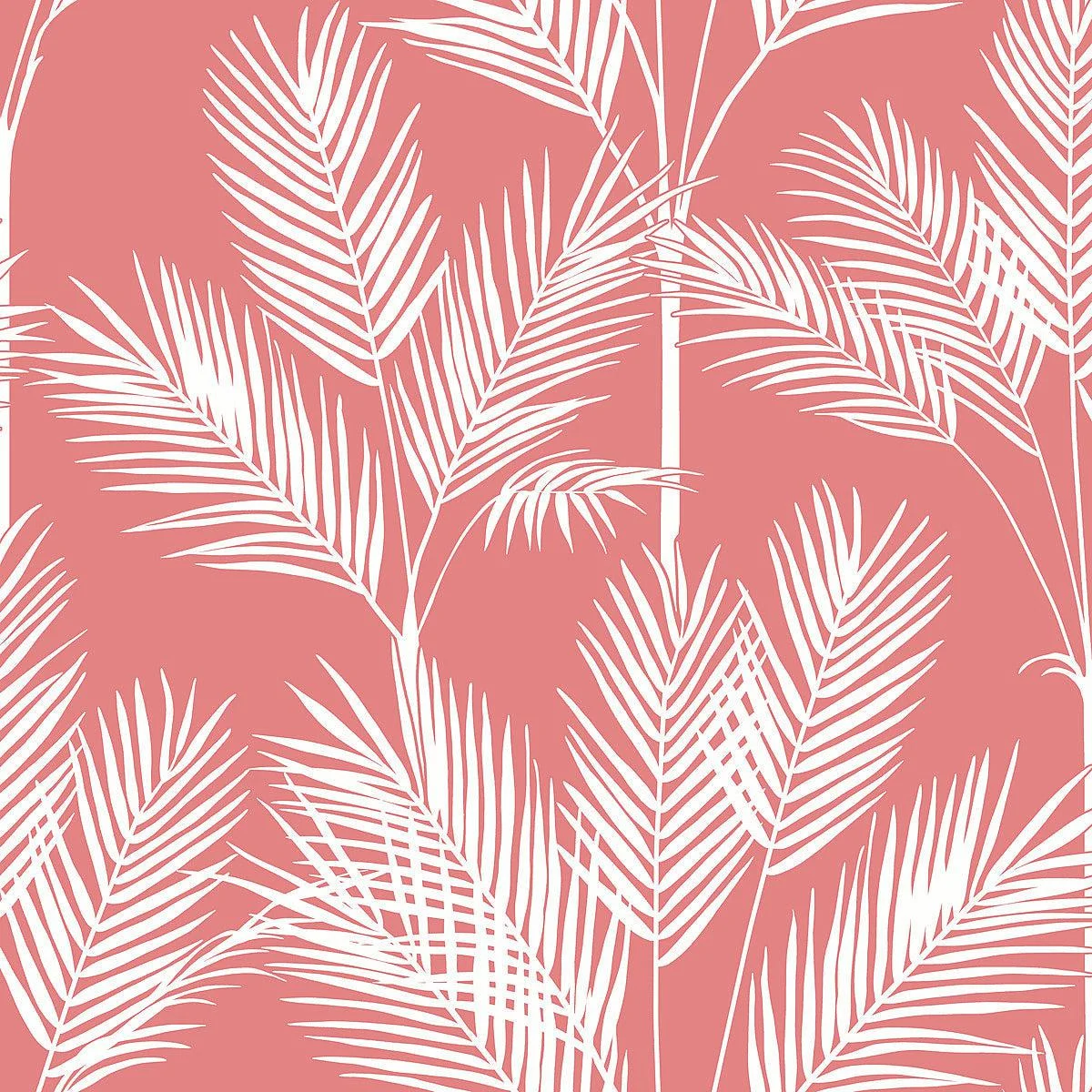 King Palm Silhouette Wallpaper // Coral