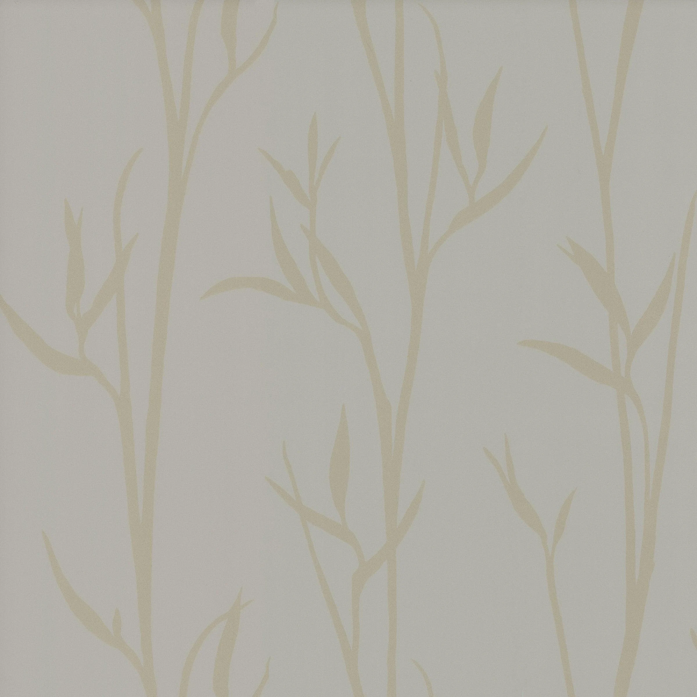Matcha Wallpaper // Tan
