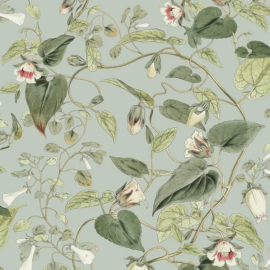 Moon Flower Wallpaper // Dove