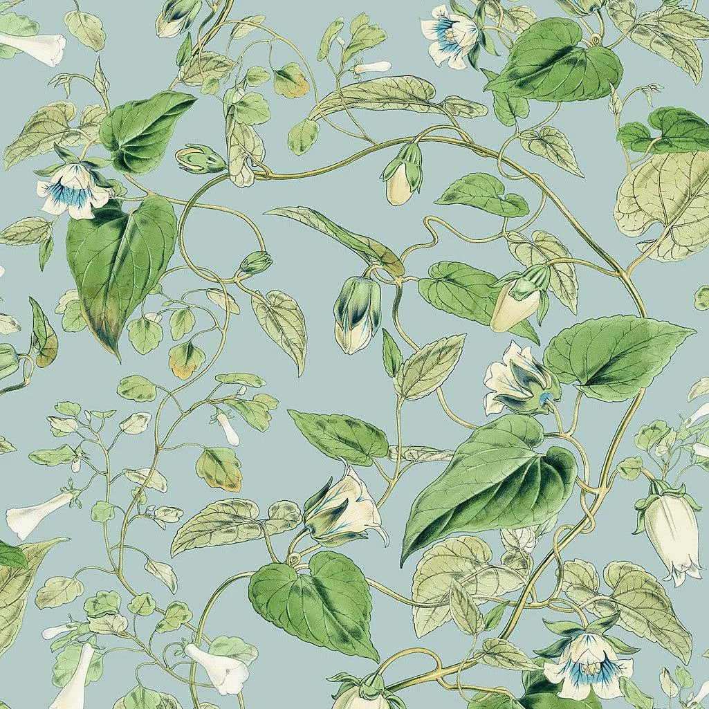 Moon Flower Wallpaper // Sky Blue