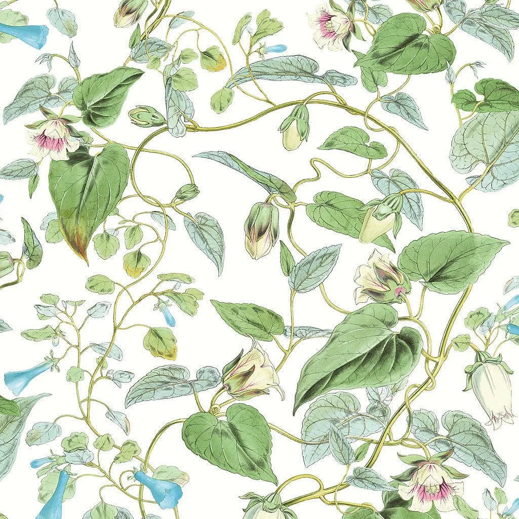 Moon Flower Wallpaper // White