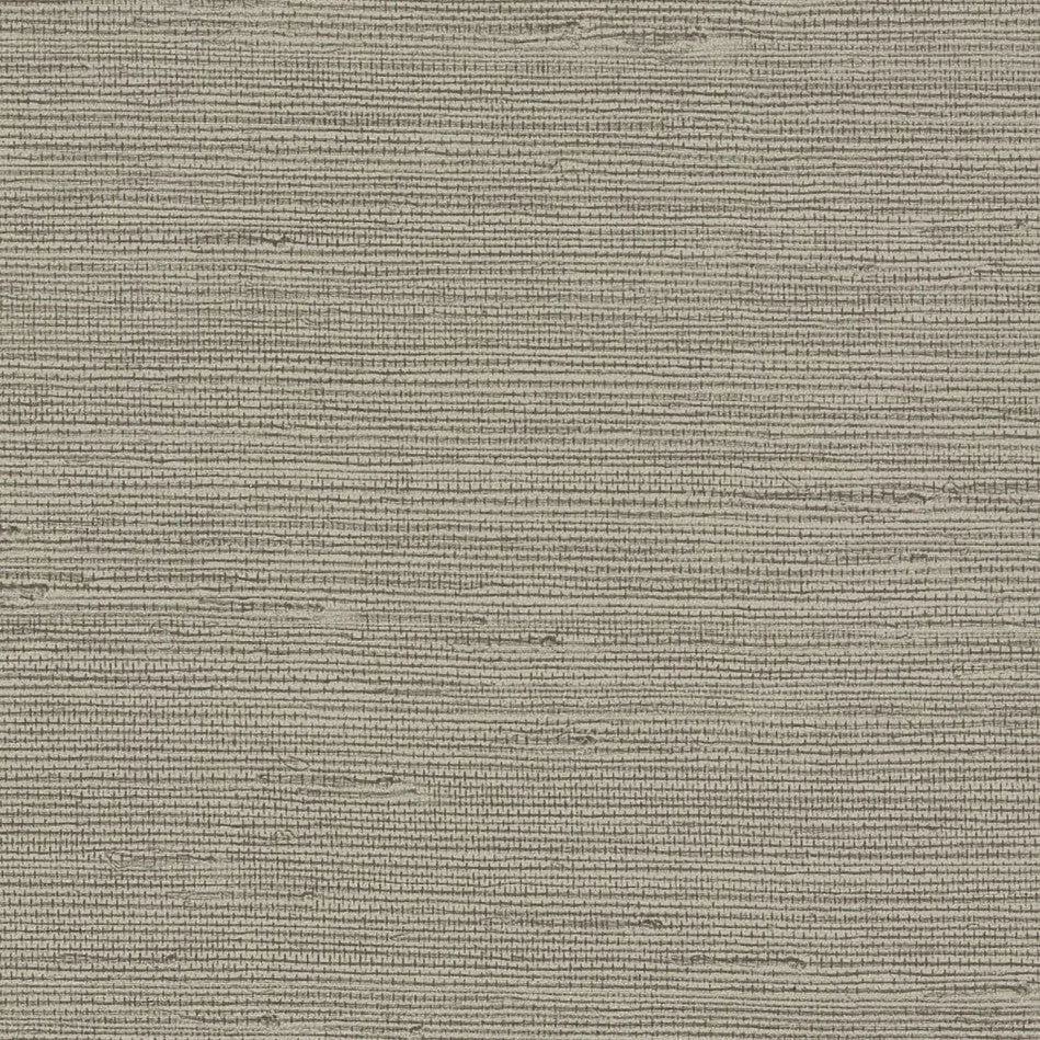 Pampas Wallpaper // Brown